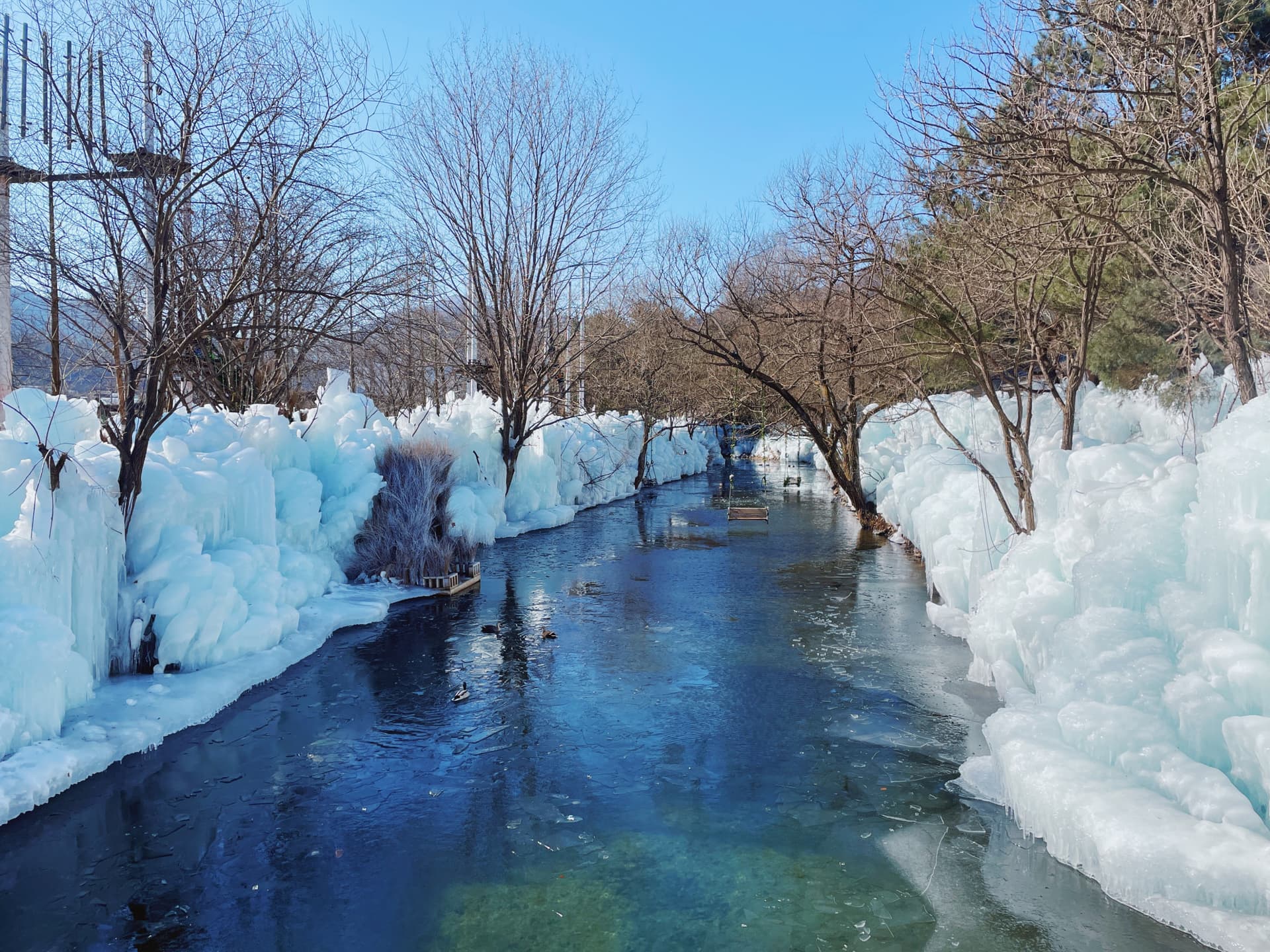 Gyeongju Kookmin Healing Park, Daegu Seomun Market, Songhae Park Ice Wall Full-Day Tour from Busan - تصویر اصلی