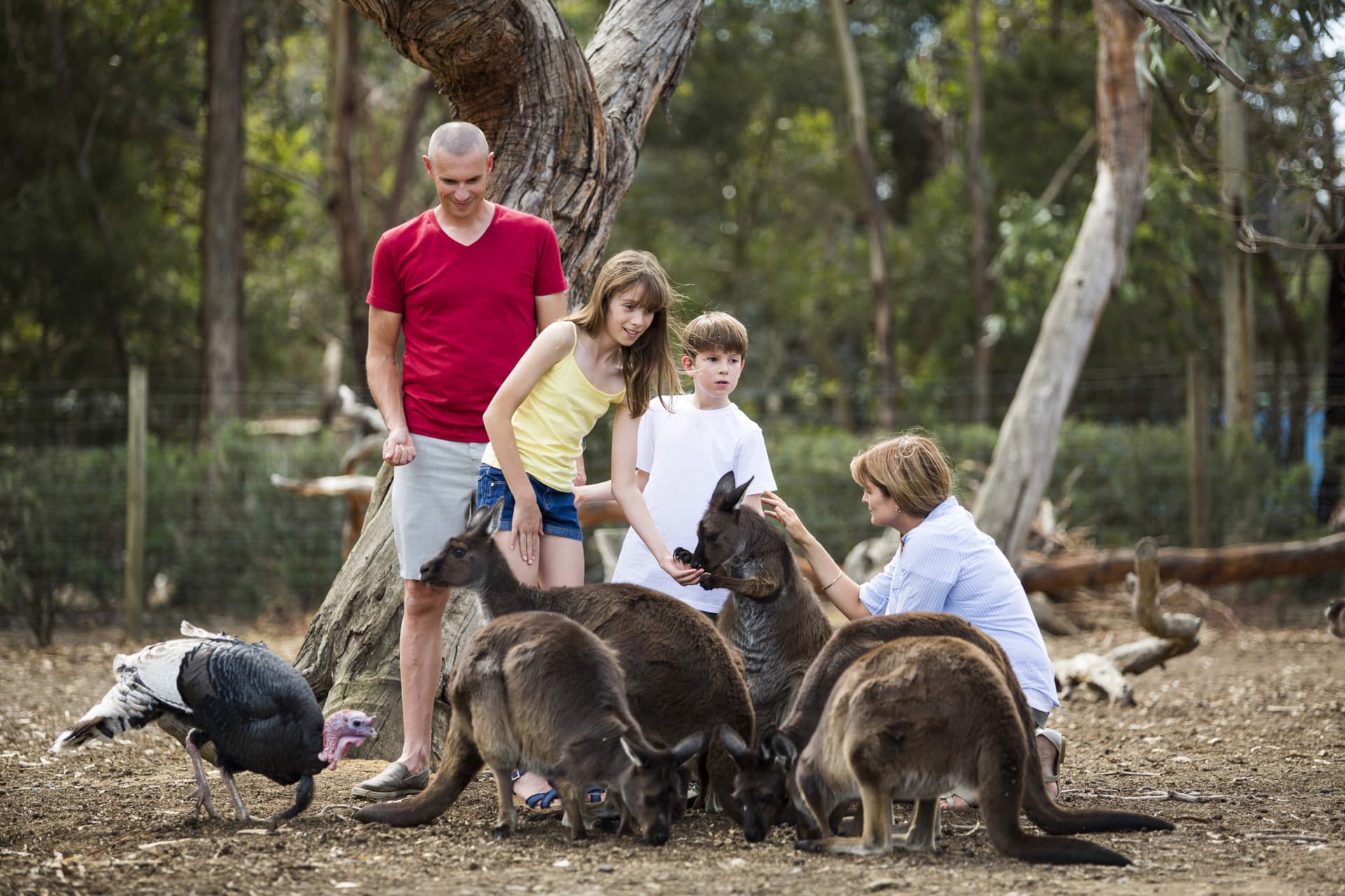 Kangaroo Island Tour from Adelaide - تصویر 2