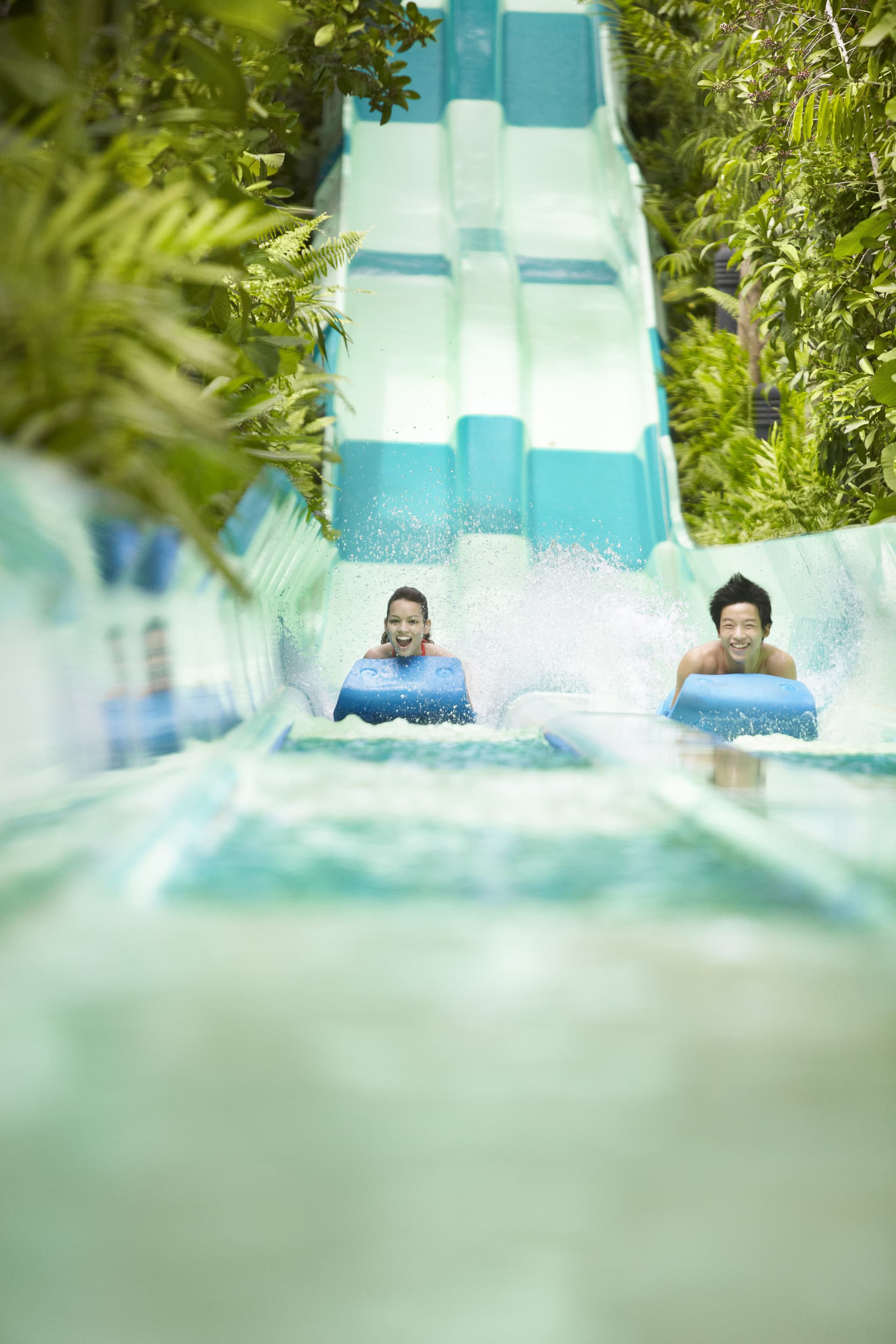 Adventure Cove Waterpark‎ Express Pass - تصویر 15