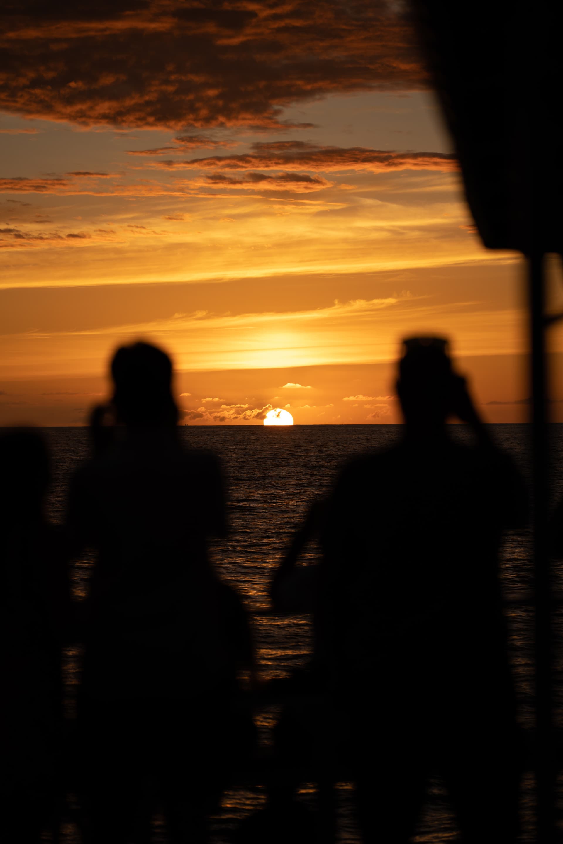 Dinner Cruise from Kona Coast to Kealakekua Bay - تصویر 14