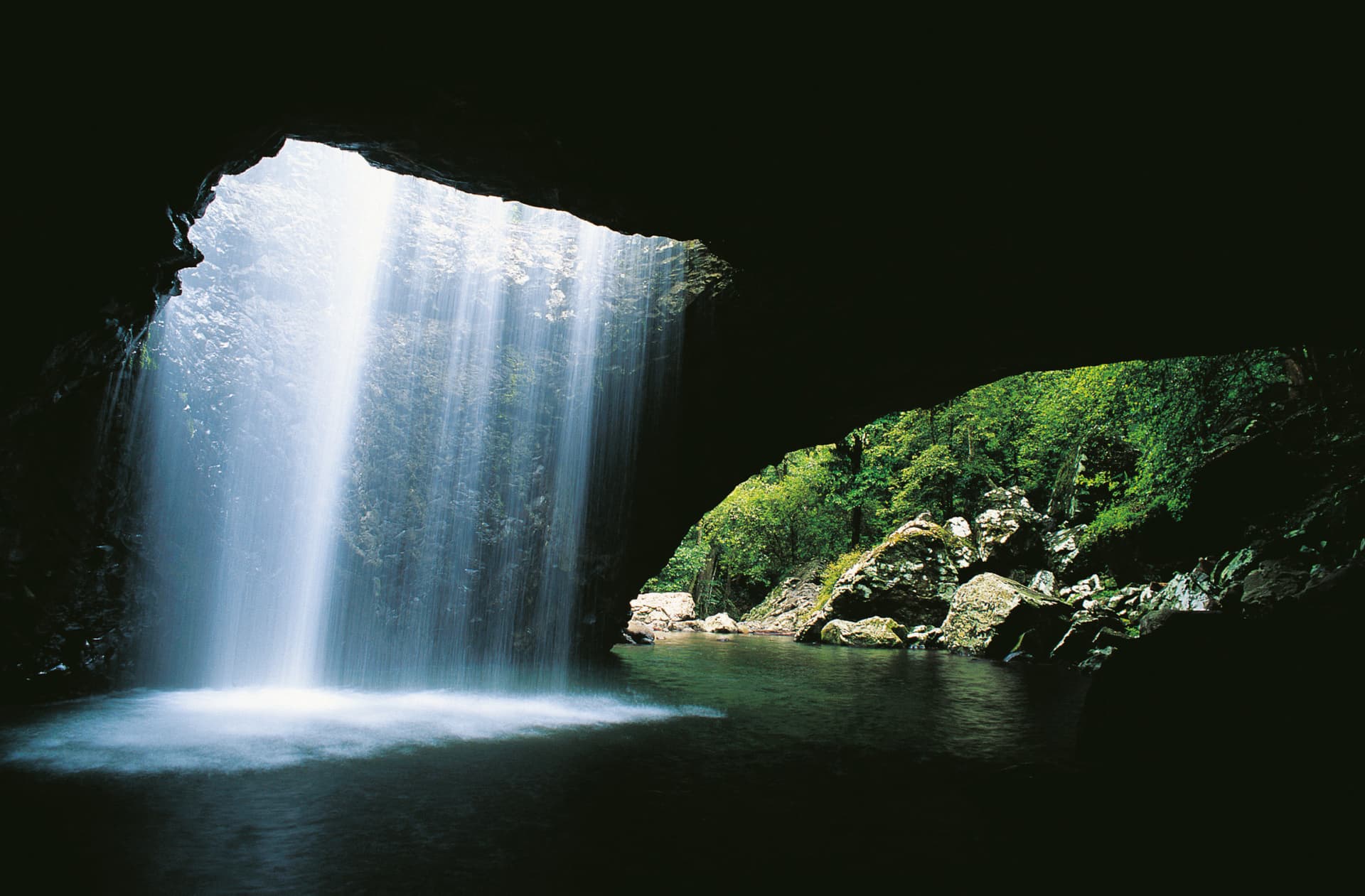 Springbrook National Park Tour: Natural Bridge and Waterfalls - تصویر اصلی
