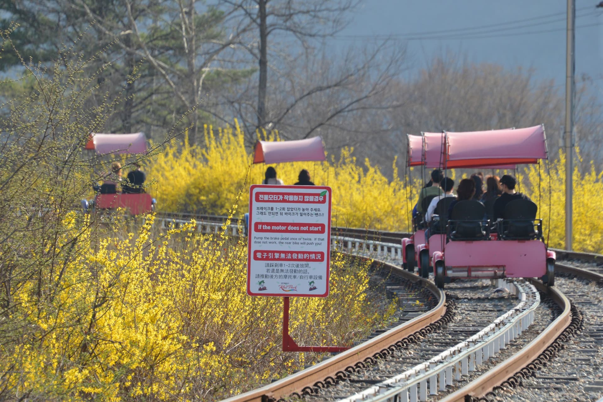 Nami Island, Petite France, Italian Village, and Gangchon Rail Bike Tour from Seoul - تصویر 6