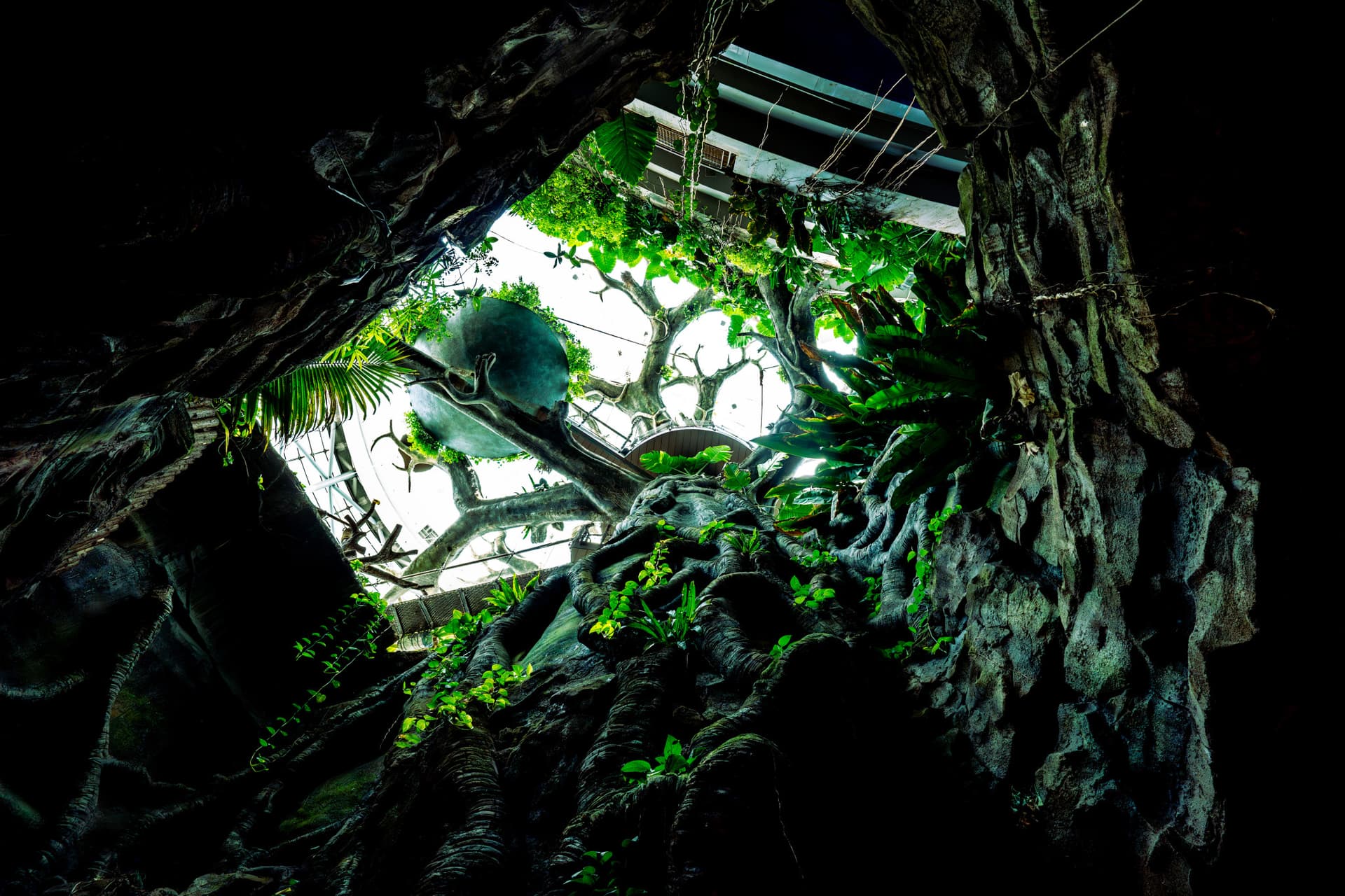 The Green Planet Dubai Ticket - تصویر 8