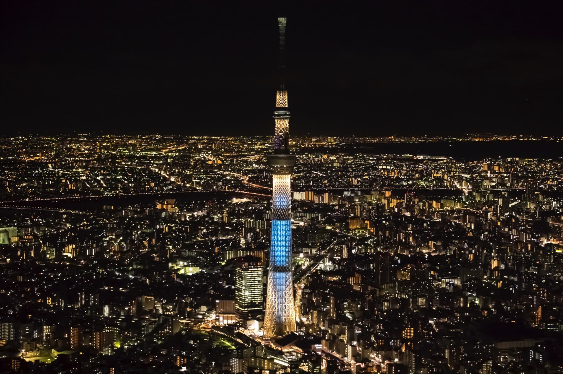 COMBO: Tokyo Skytree + Sumida Aquarium - تصویر 5