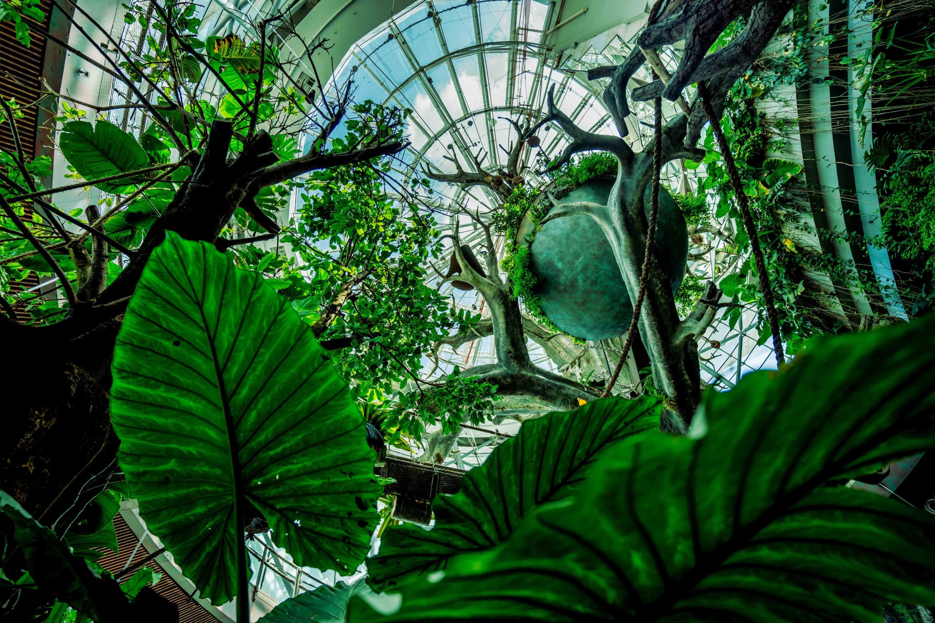 The Green Planet Dubai Ticket - تصویر 2