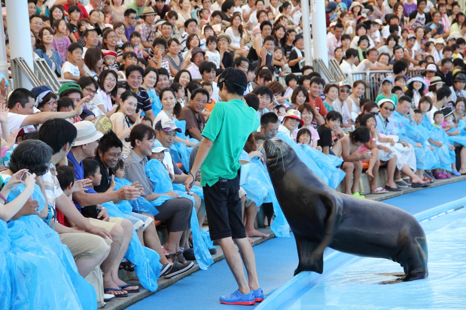 Minamichita Beach Land and Minamichita Toy Kingdom Ticket - تصویر 3