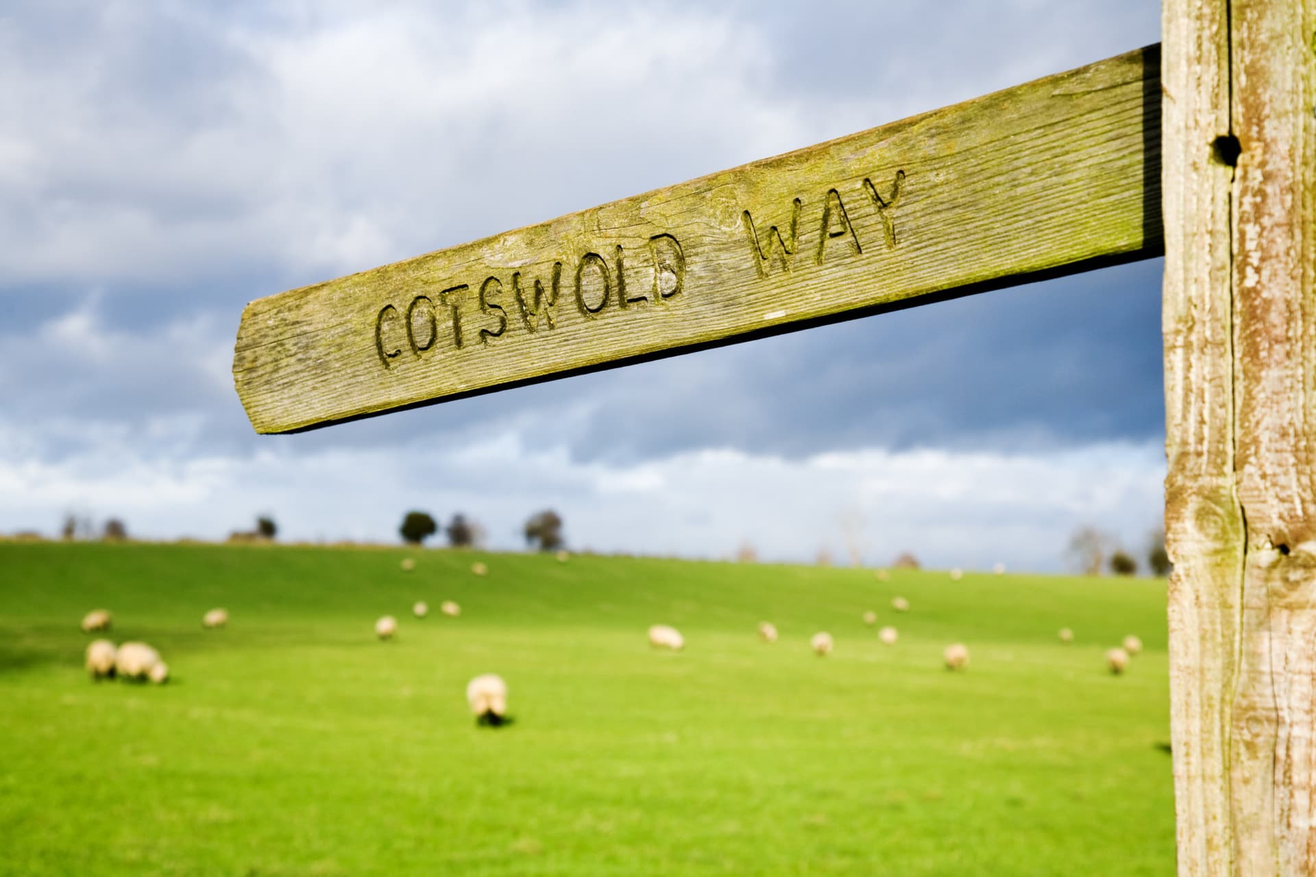 Cotswolds Tour from London with Lunch - تصویر 15