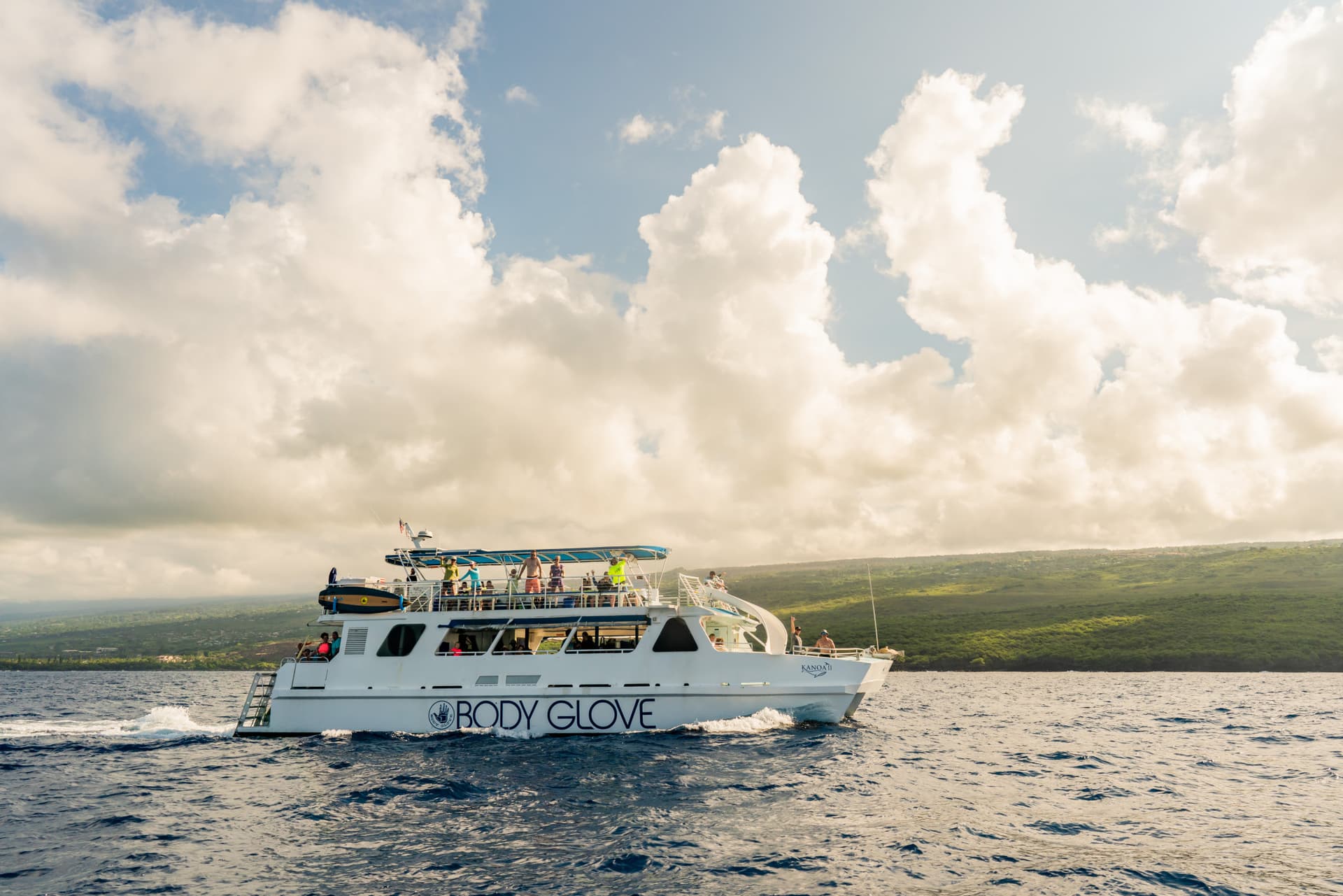 Kona Dolphin Watching Cruise with Snorkelling Experience - تصویر 5