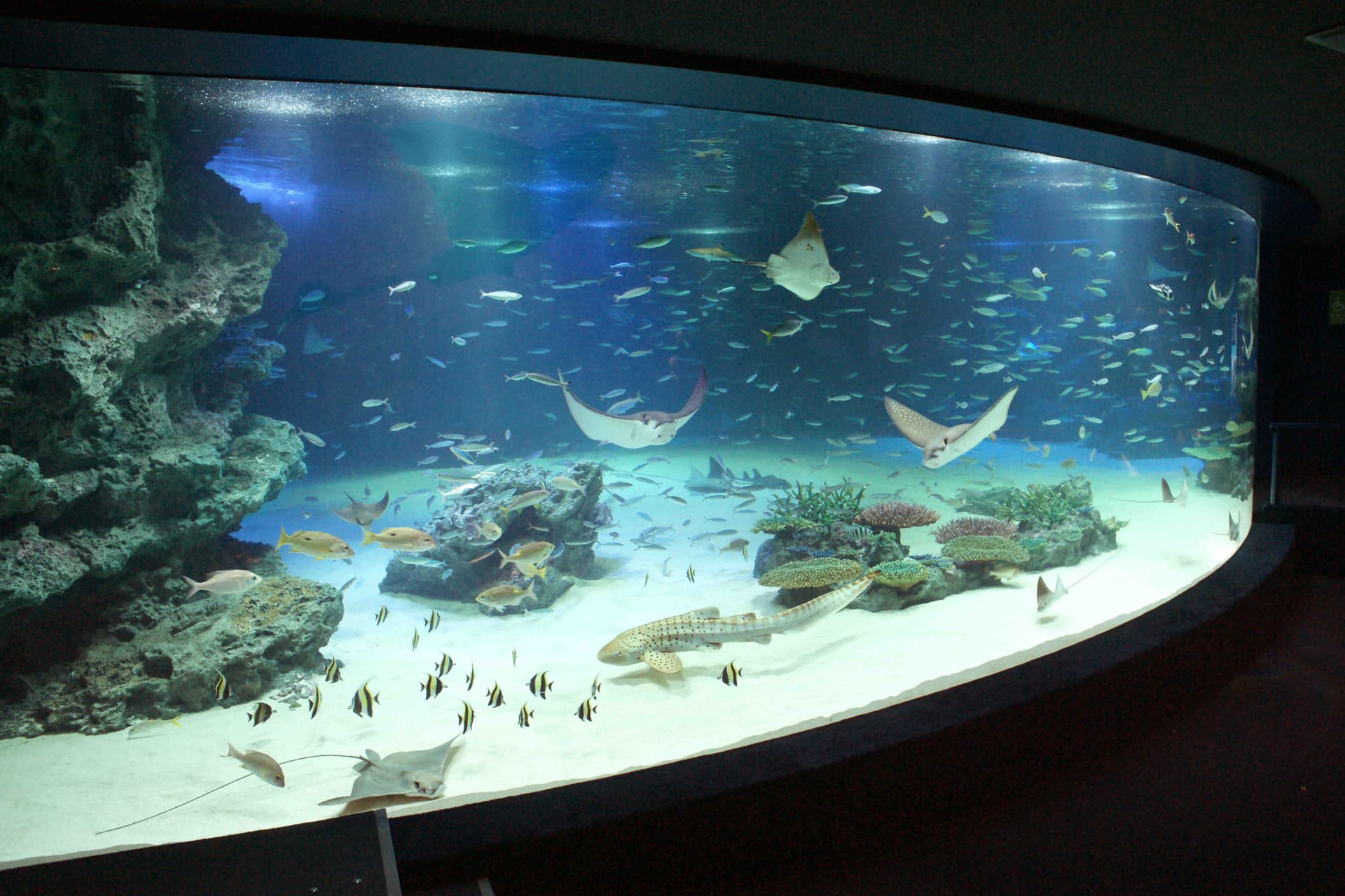 Tokyo Sunshine Aquarium - تصویر 4