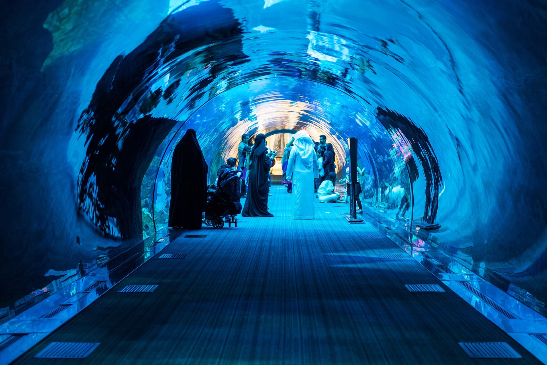 Dubai Aquarium and Underwater Zoo Ticket - تصویر اصلی