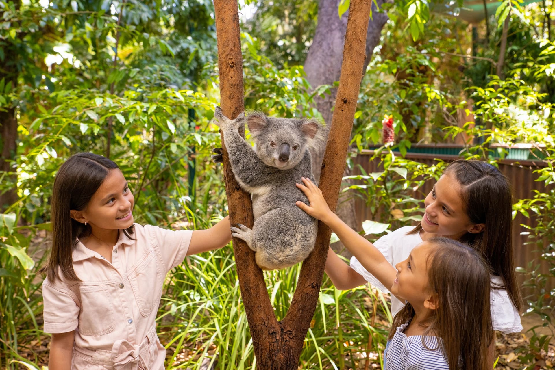 Currumbin Wildlife Sanctuary Gold Coast Ticket - تصویر اصلی