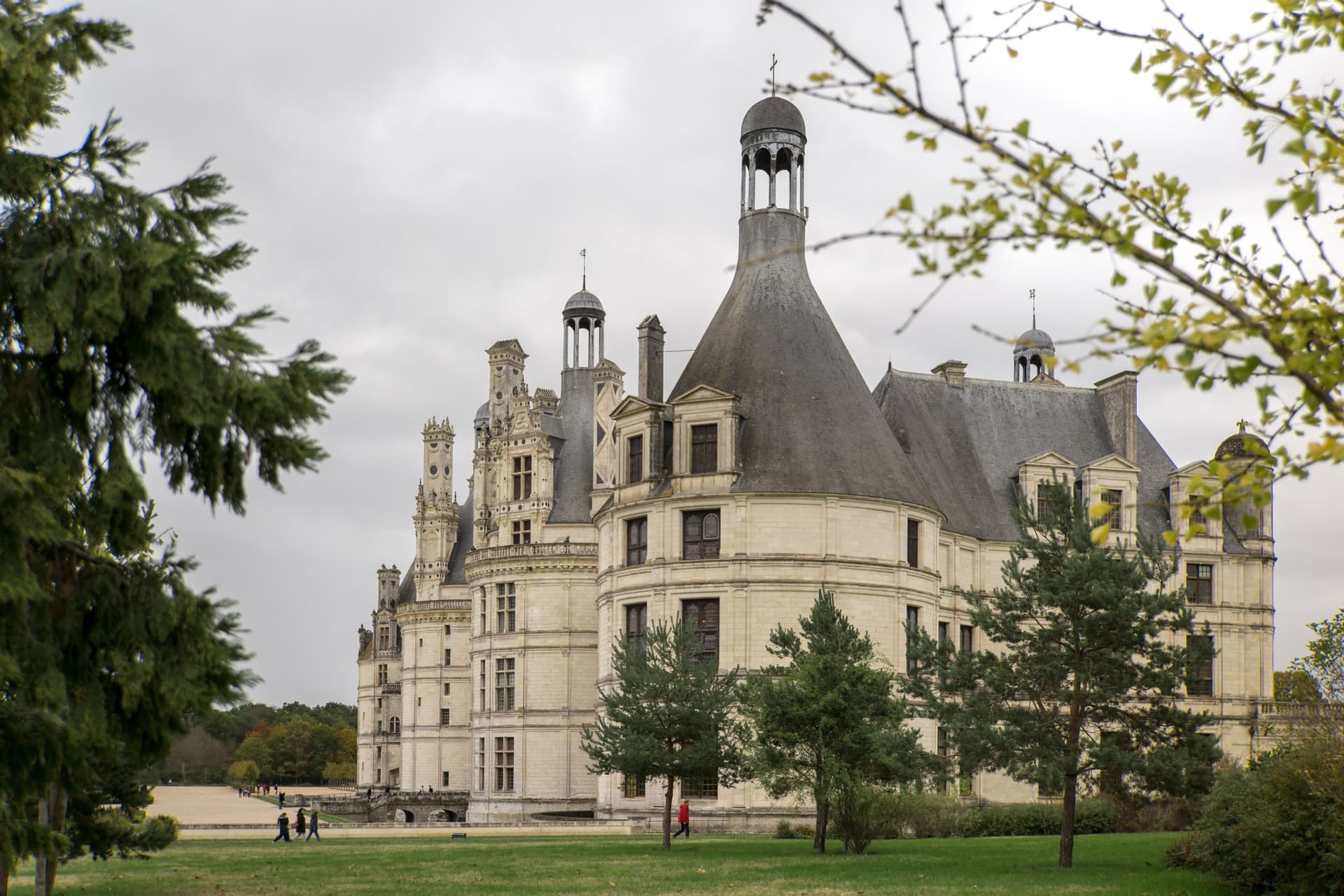 Loire Valley Tour from Paris: Chambord, Chenonceau, and Cheverny Castles - تصویر 15