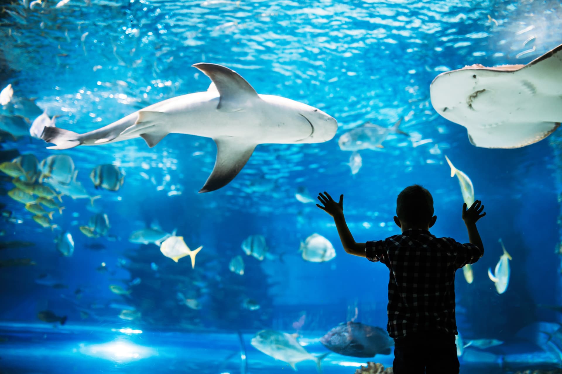 Go City Philadelphia All-Inclusive Pass: Save up to 50% on Attractions - تصویر 2