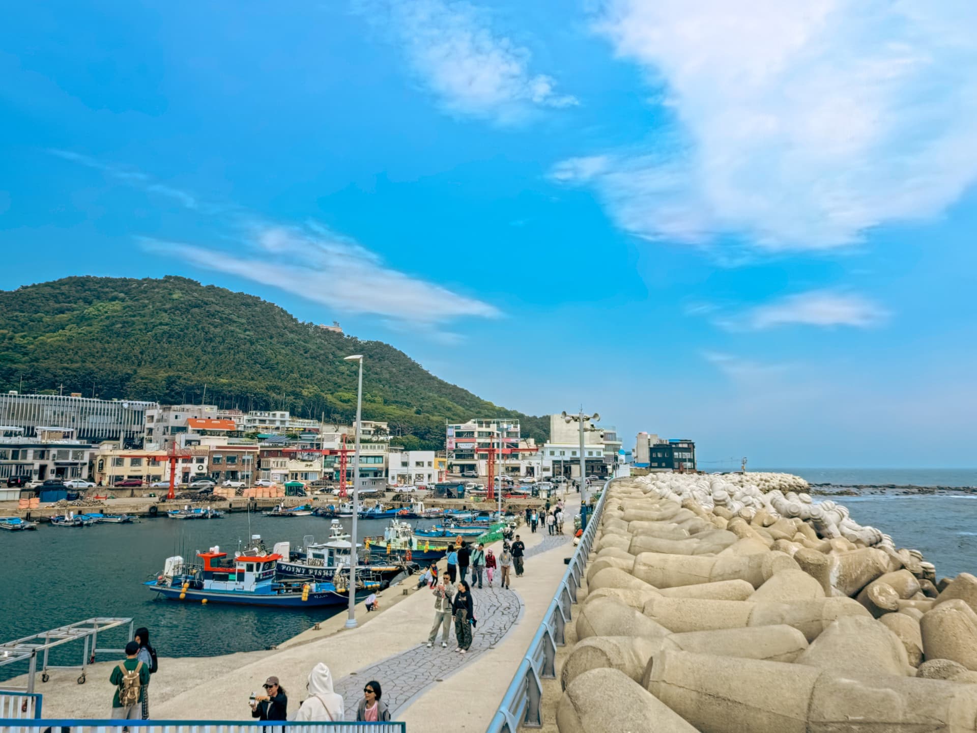 One Day Cultural Tour in Busan: Haedongyonggungsa Temple, Cheongsapo, Gamcheon Culture Village - تصویر اصلی