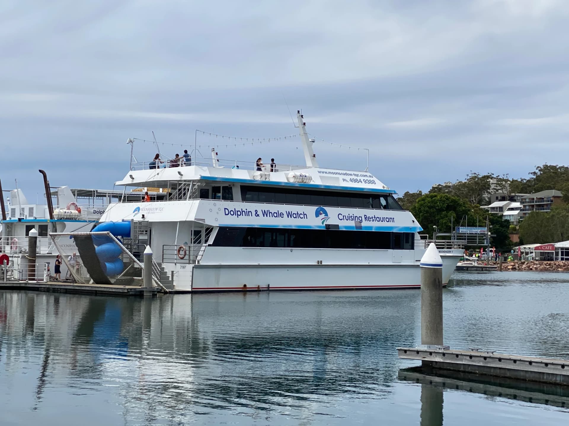 Port Stephens Dolphin Discovery Cruise - تصویر 4