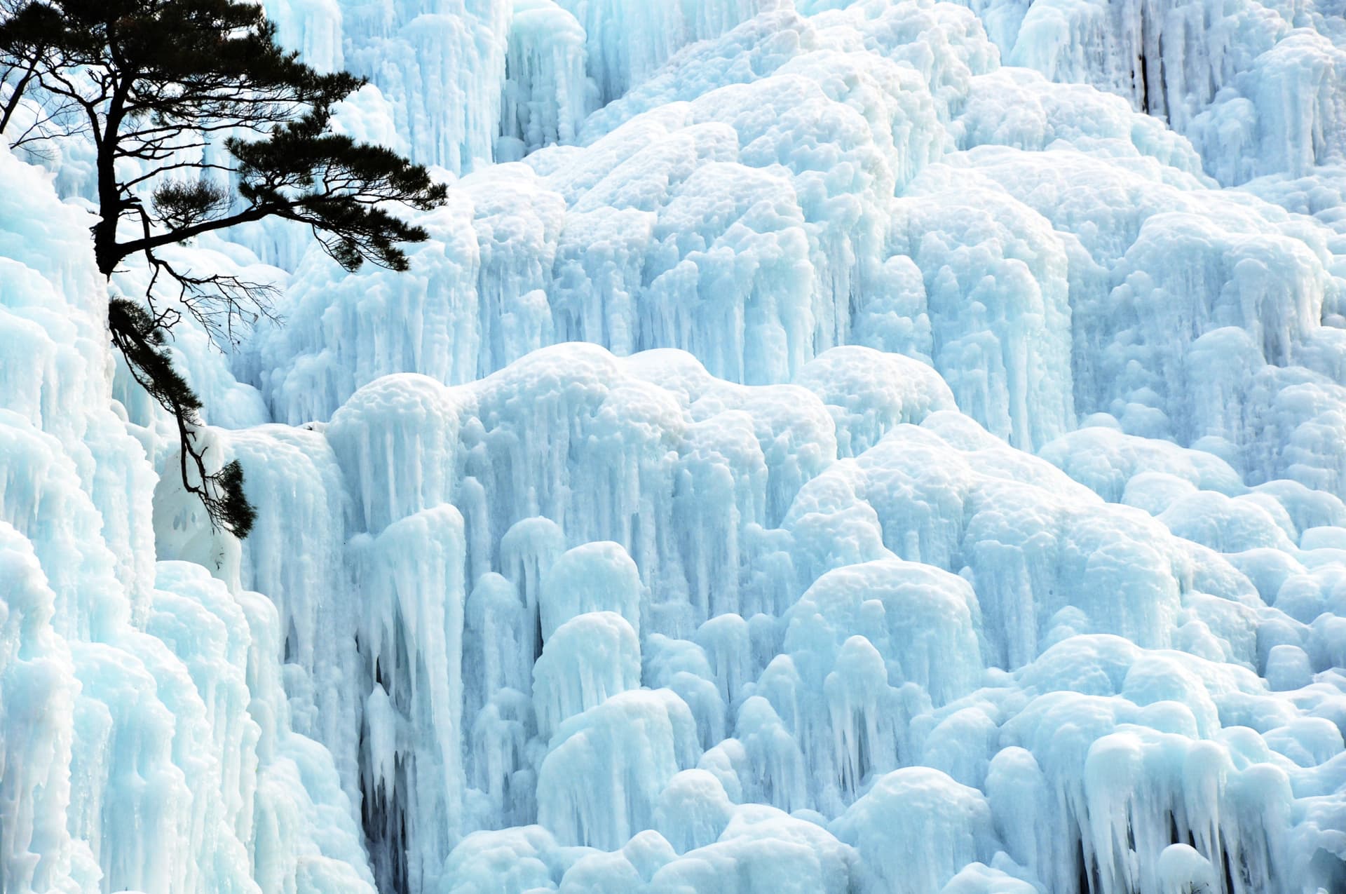 Cheongsong Ice Valley, Pohang Space Walk, and Gyeongju Full-Day Tour from Busan - تصویر 7