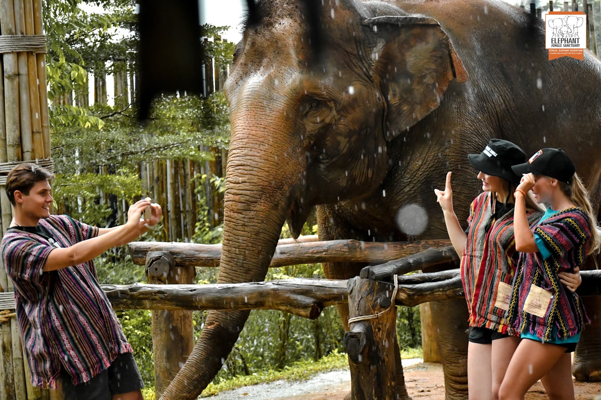 Elephant Jungle Sanctuary Phuket - تصویر 3