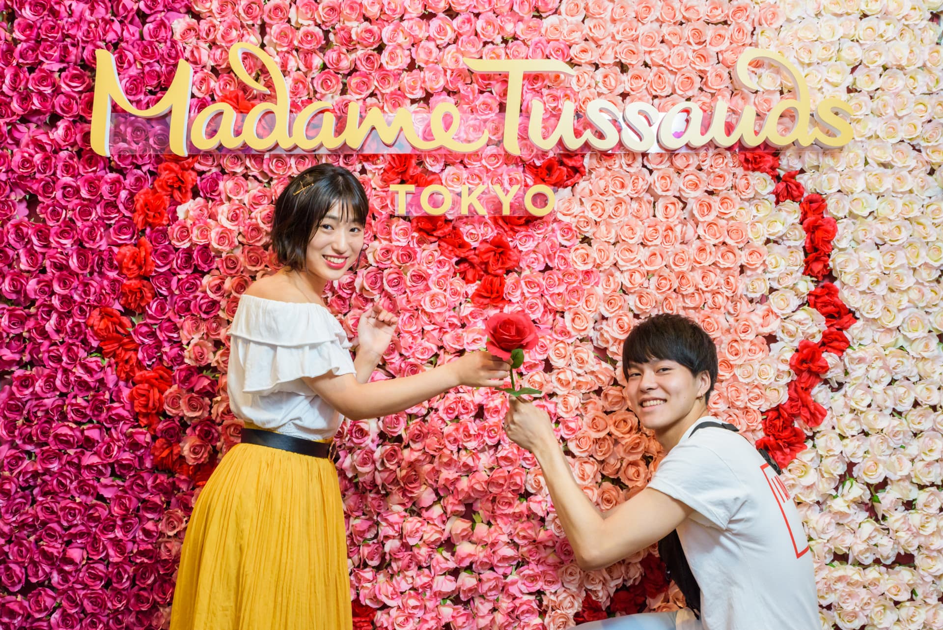 Have Fun in Japan Pass - 2 Weeks Free Pass - تصویر 10