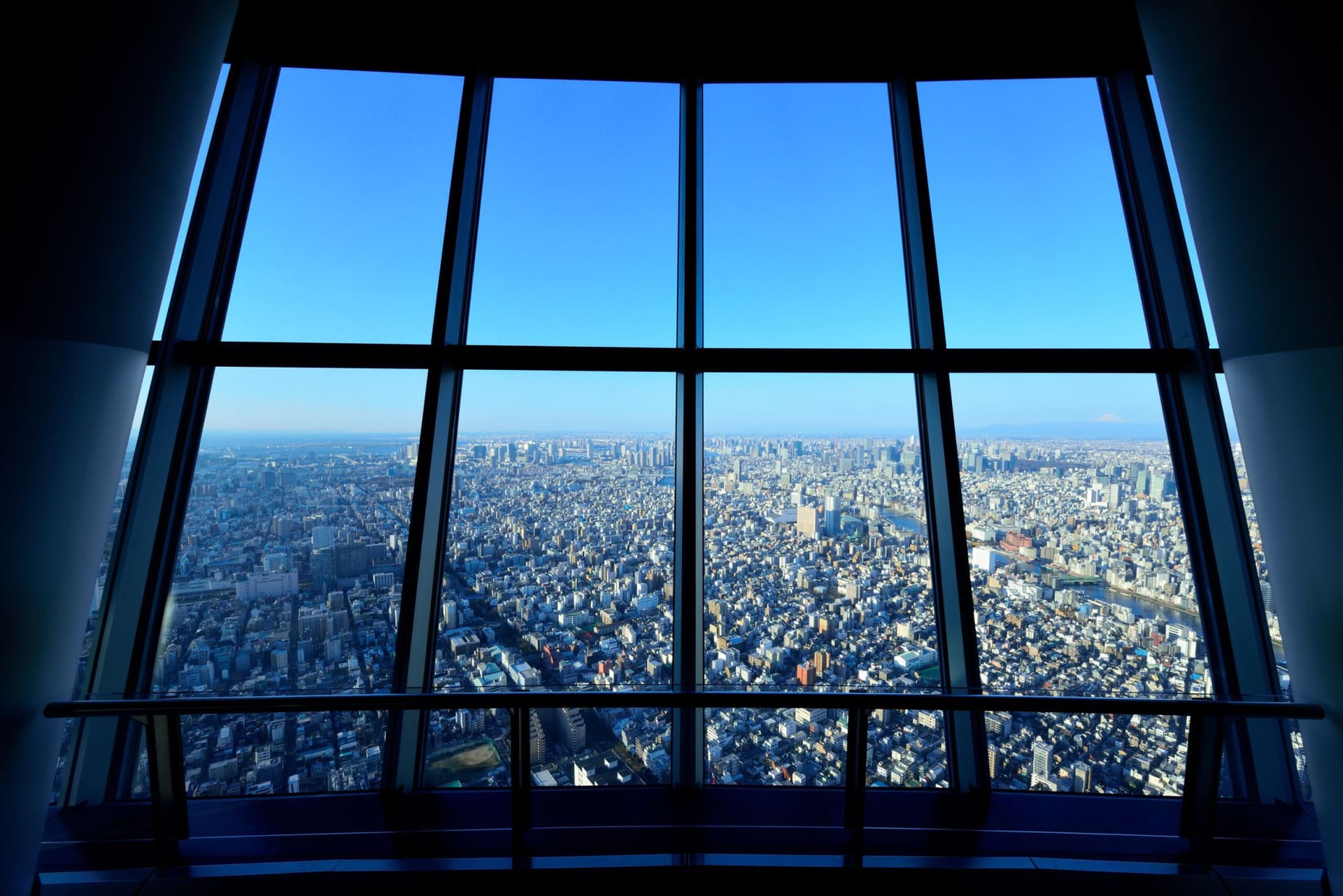 COMBO: Tokyo Skytree + Sumida Aquarium - تصویر 3