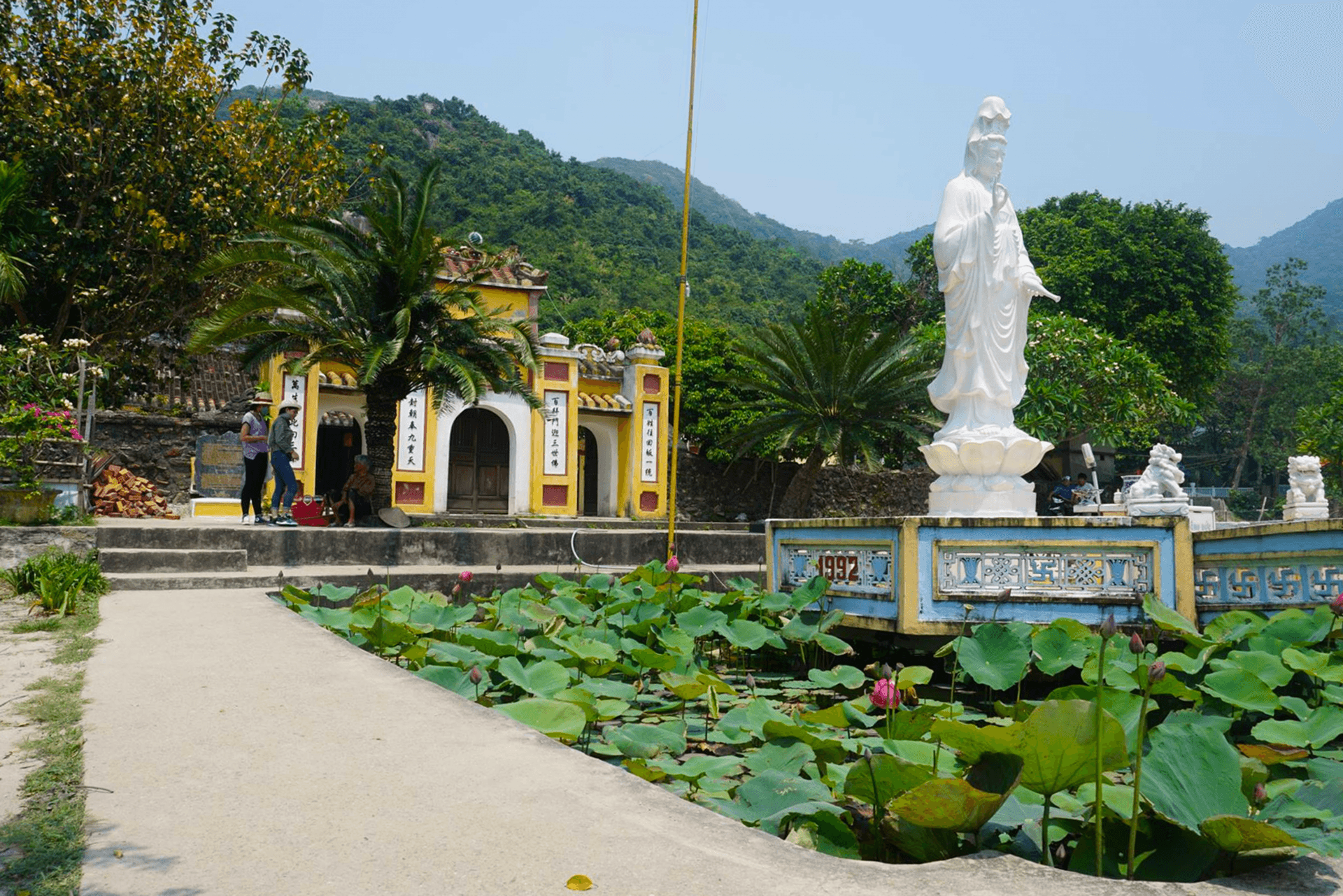 Cham Island Tour from Da Nang - تصویر 5