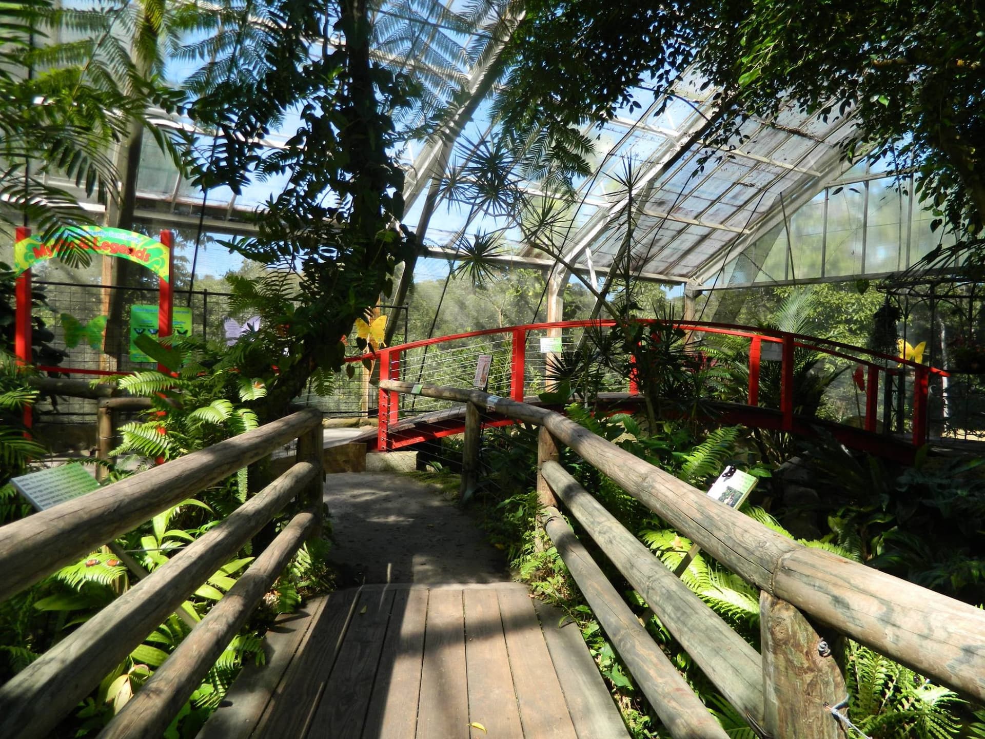 Australian Butterfly Sanctuary - تصویر 8