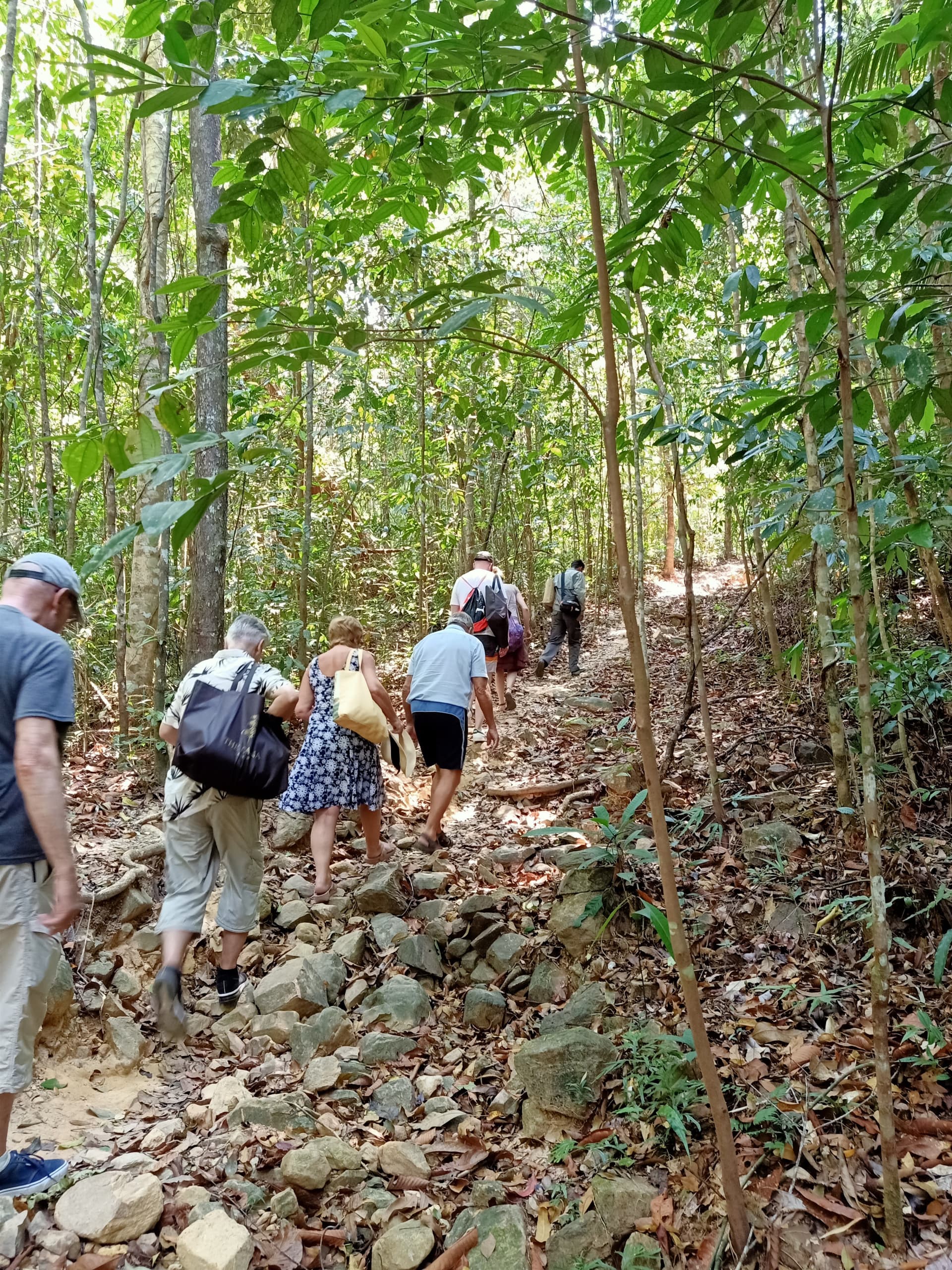 Langkawi Morning Rainforest Walking Tour - تصویر 7