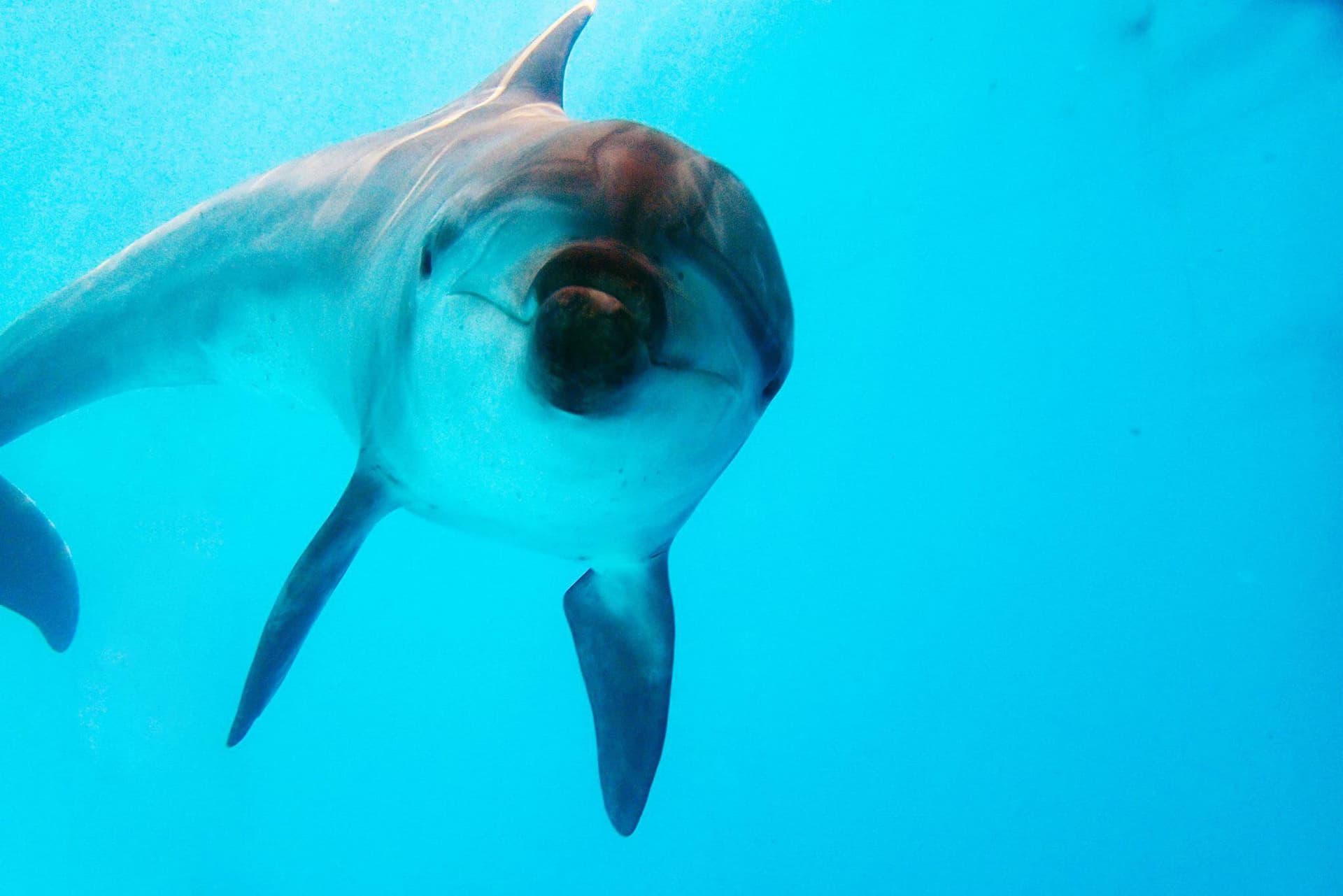 Yehliu Ocean World - تصویر اصلی