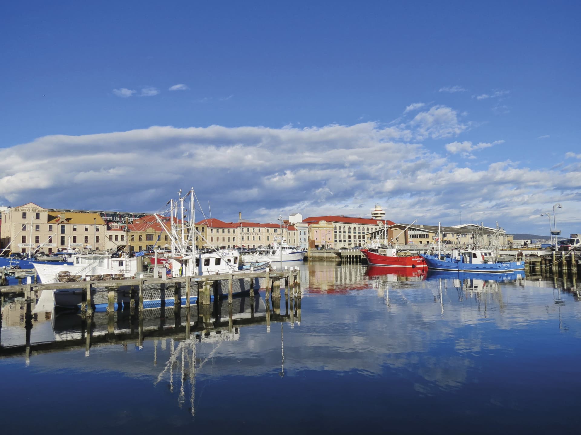 Mount Wellington and Hobart City Tour - تصویر 2