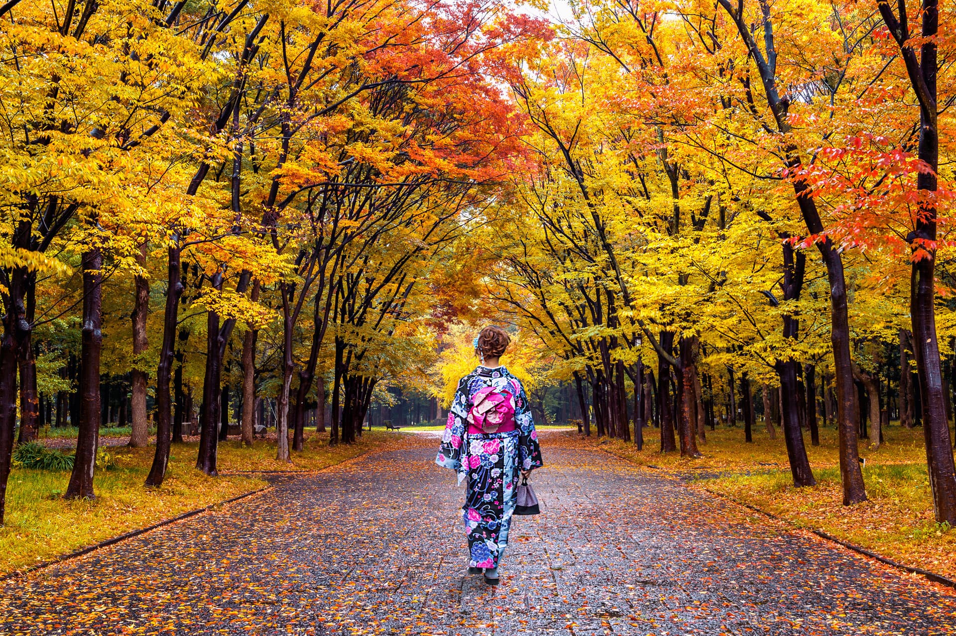 Professional Photo Shoot in Tokyo - تصویر 3