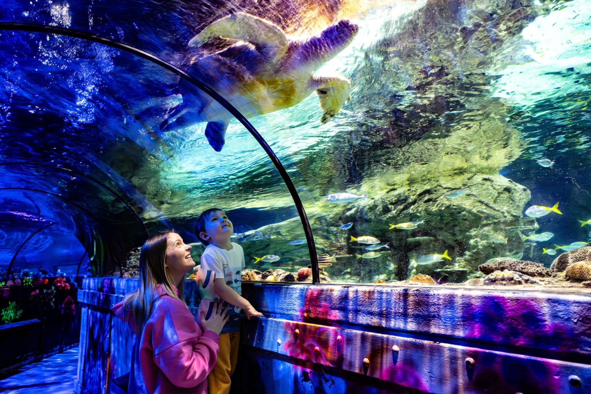 SEA LIFE Brighton Ticket - تصویر 6
