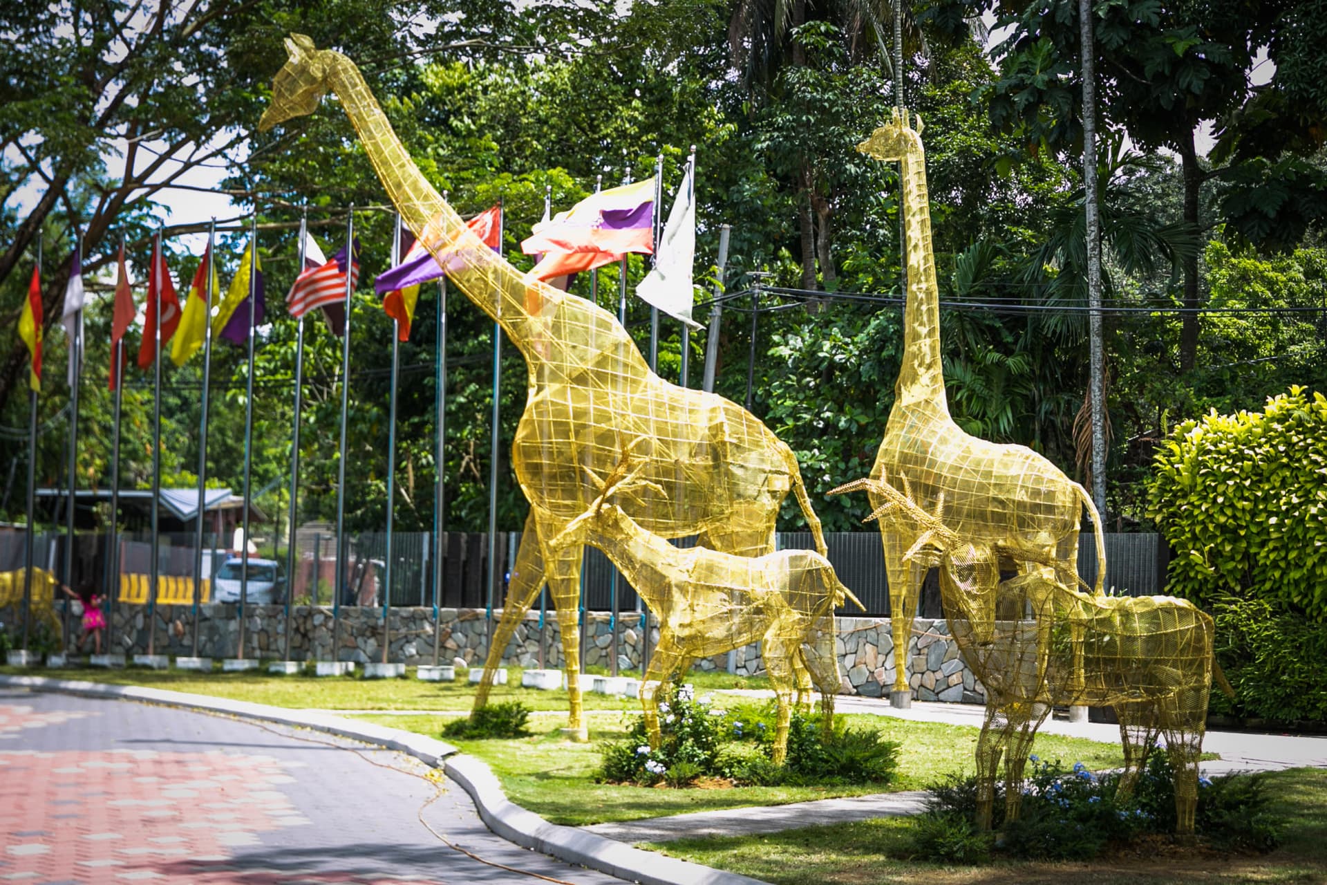 Zoo Negara Malaysia & Panda Conservation Centre Ticket - تصویر 24