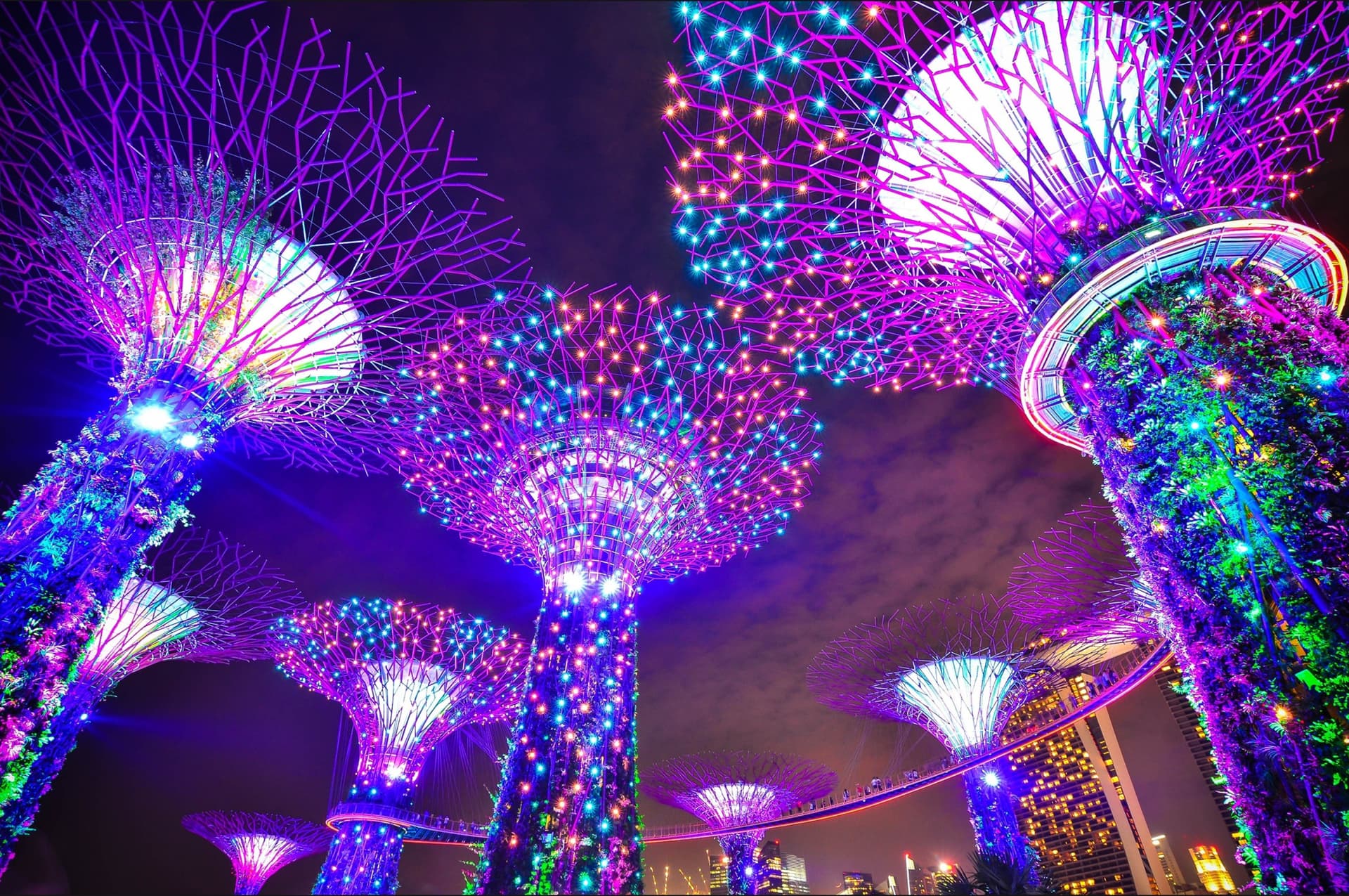 COMBO: Gardens by the Bay + Marina Bay Sands SkyPark Observation Deck Tickets - تصویر 6