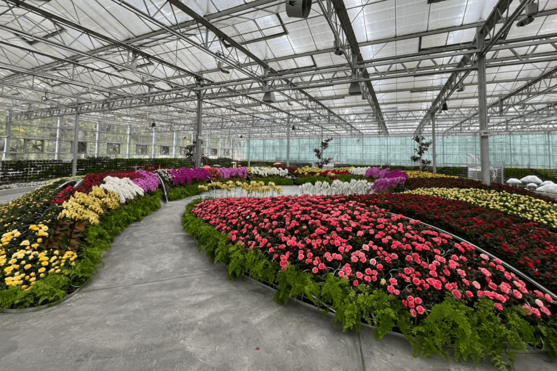 Eufloria Gardens & Sculpture Park in Genting Ticket - تصویر 10