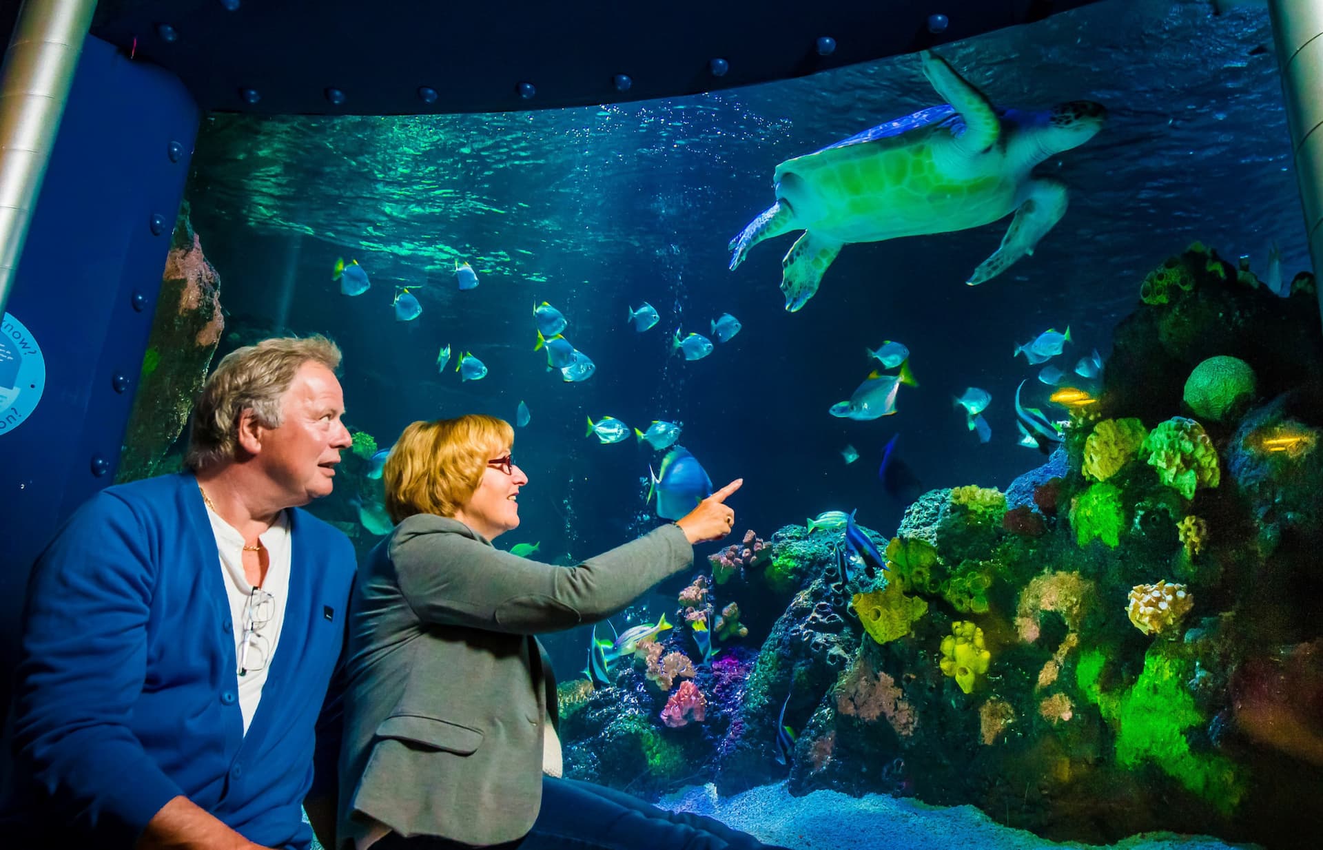 SEA LIFE Timmendorfer Strand Aquarium Ticket - تصویر 6