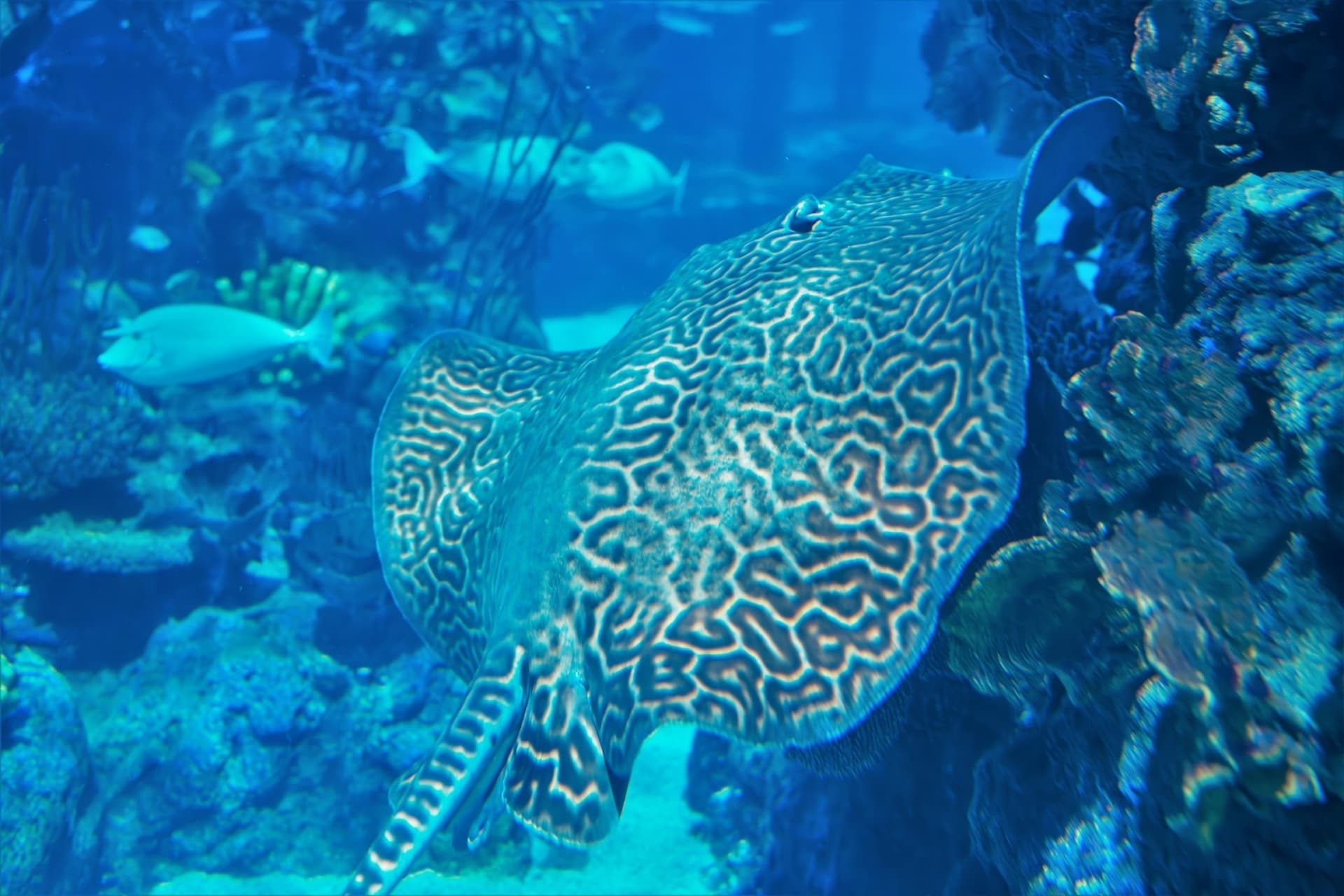 Aquaria Phuket - تصویر 20