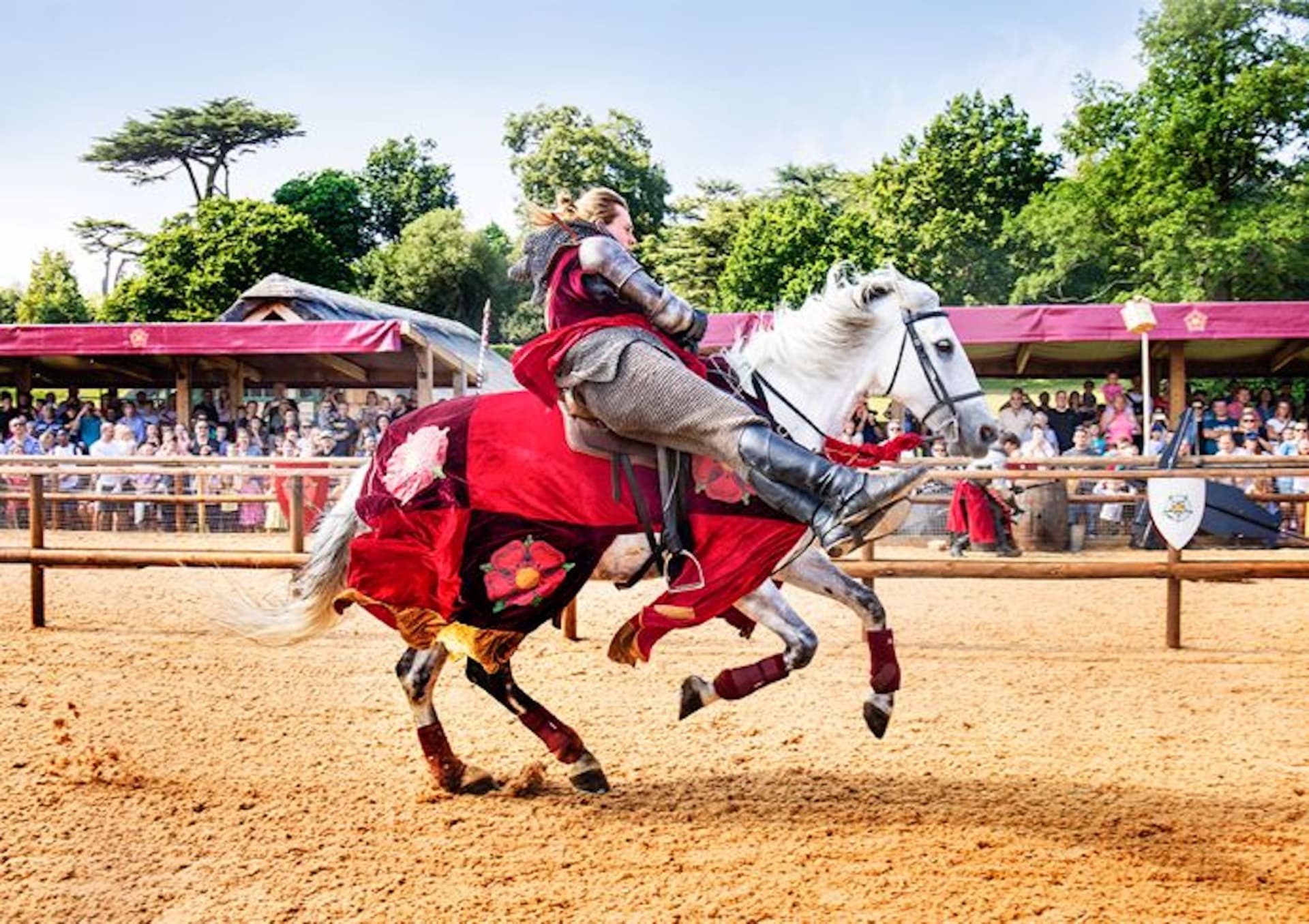 Warwick Castle - تصویر 2