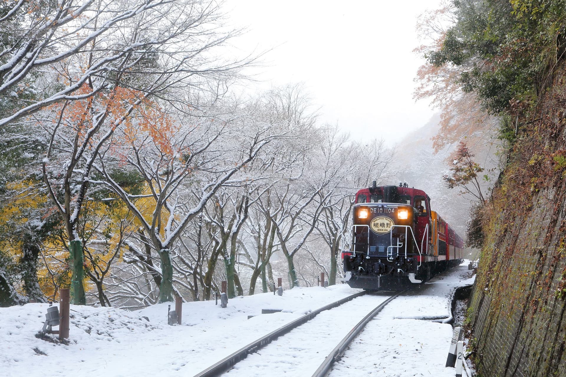 Sagano Romantic Train - تصویر 22