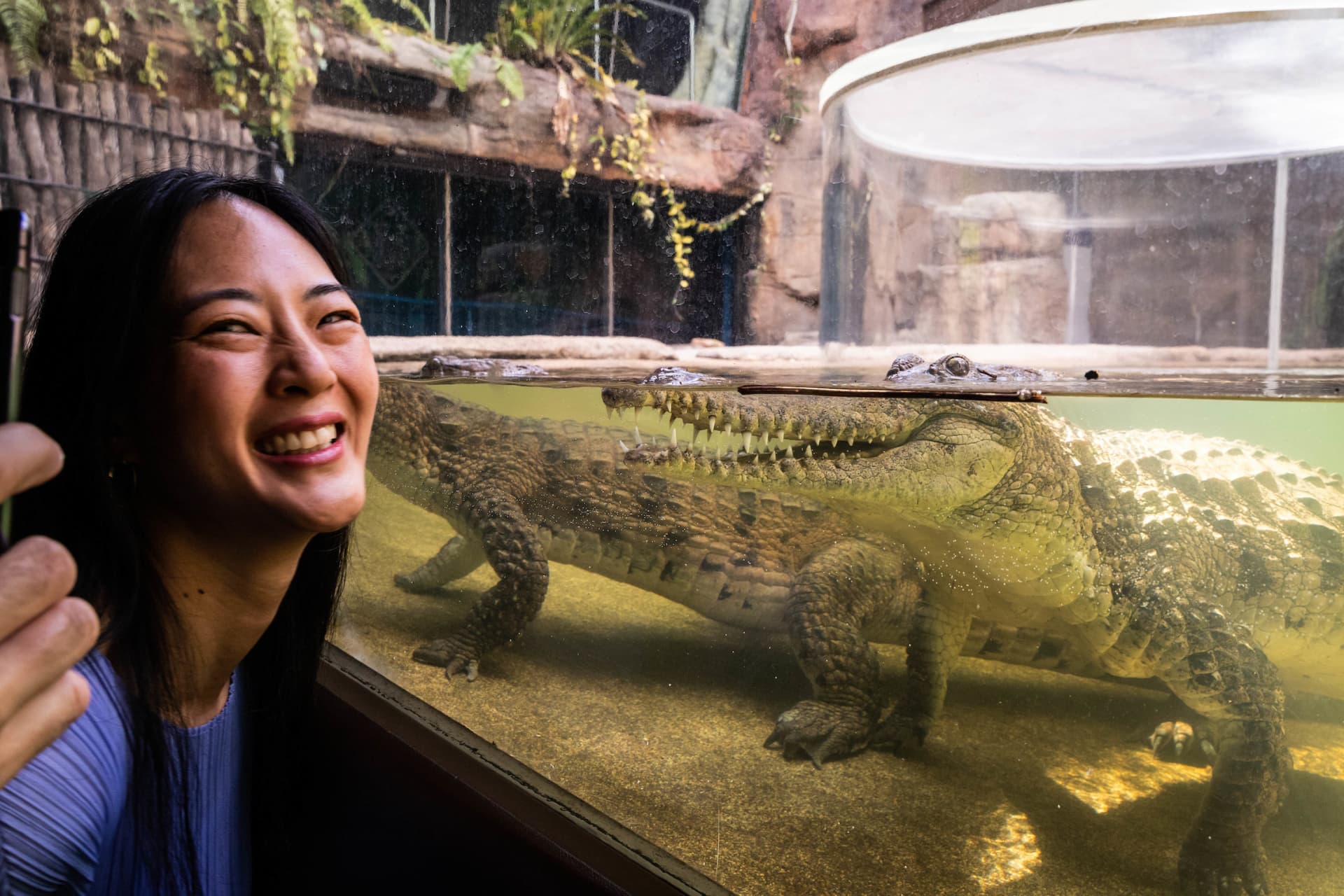 COMBO: WILD LIFE Sydney Zoo Ticket + Captain Cook Hop-on Hop-off Cruise - تصویر 5
