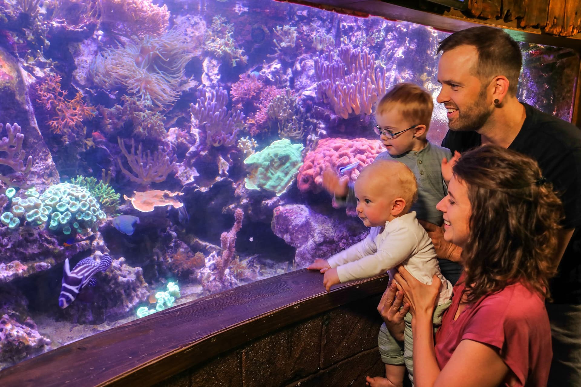 SEA LIFE Hannover Aquarium Ticket - تصویر 8