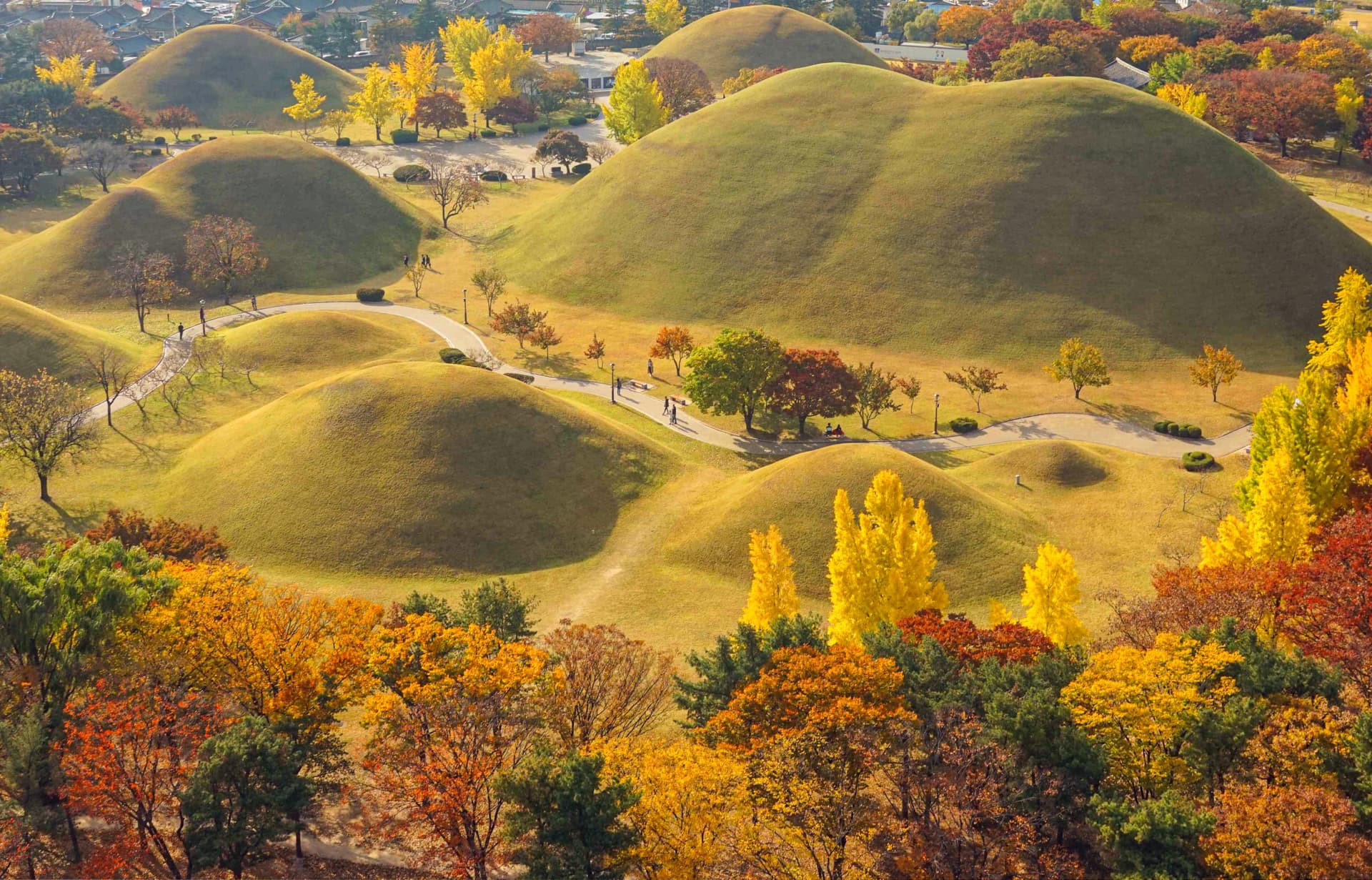Gyeongju Autumn Foliage One Day Tour from Busan - تصویر 2