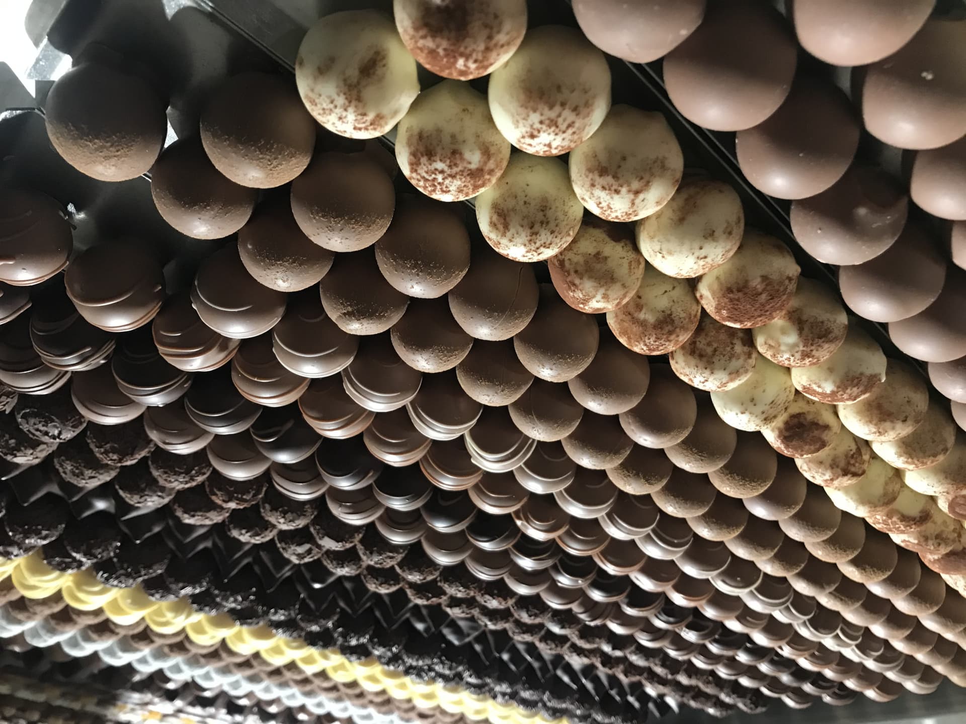 Appenzell Tour from Zurich with Cheese and Chocolate Tasting - تصویر 11