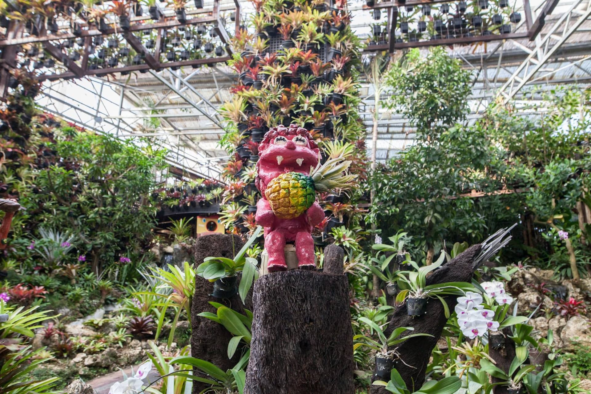 Okinawa Nago Pineapple Park - تصویر 6