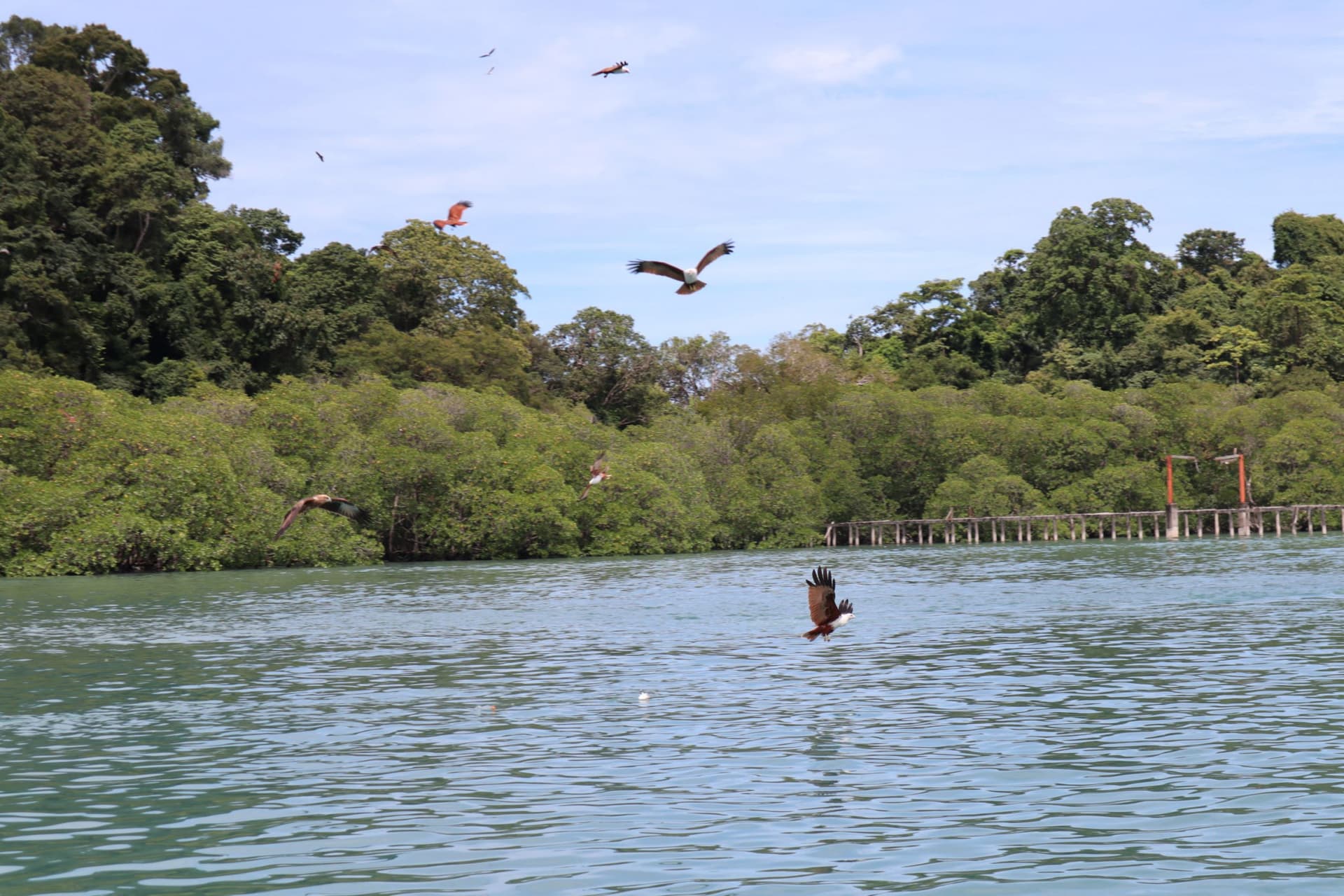 Langkawi Island Hopping Tour by Speedboat - تصویر 8
