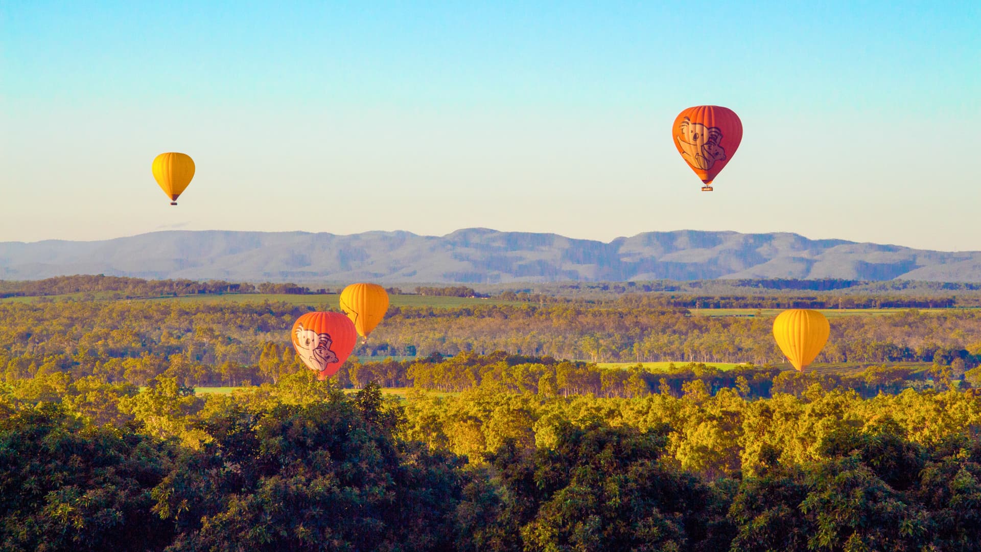 Cairns Hot Air Balloon Flight with Sparkling Wine and Optional Round Trip Transfer - تصویر 5