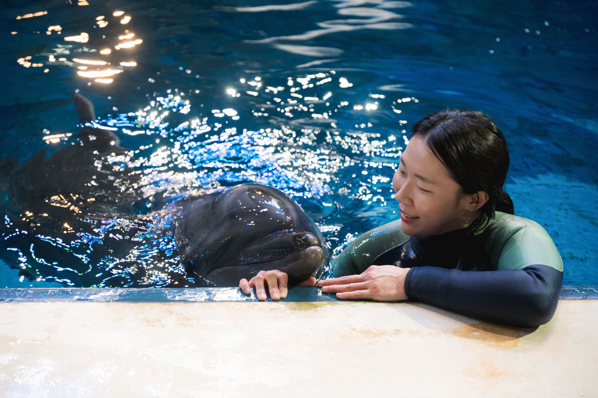 Aqua Planet Jeju Aquarium Ticket - تصویر 9