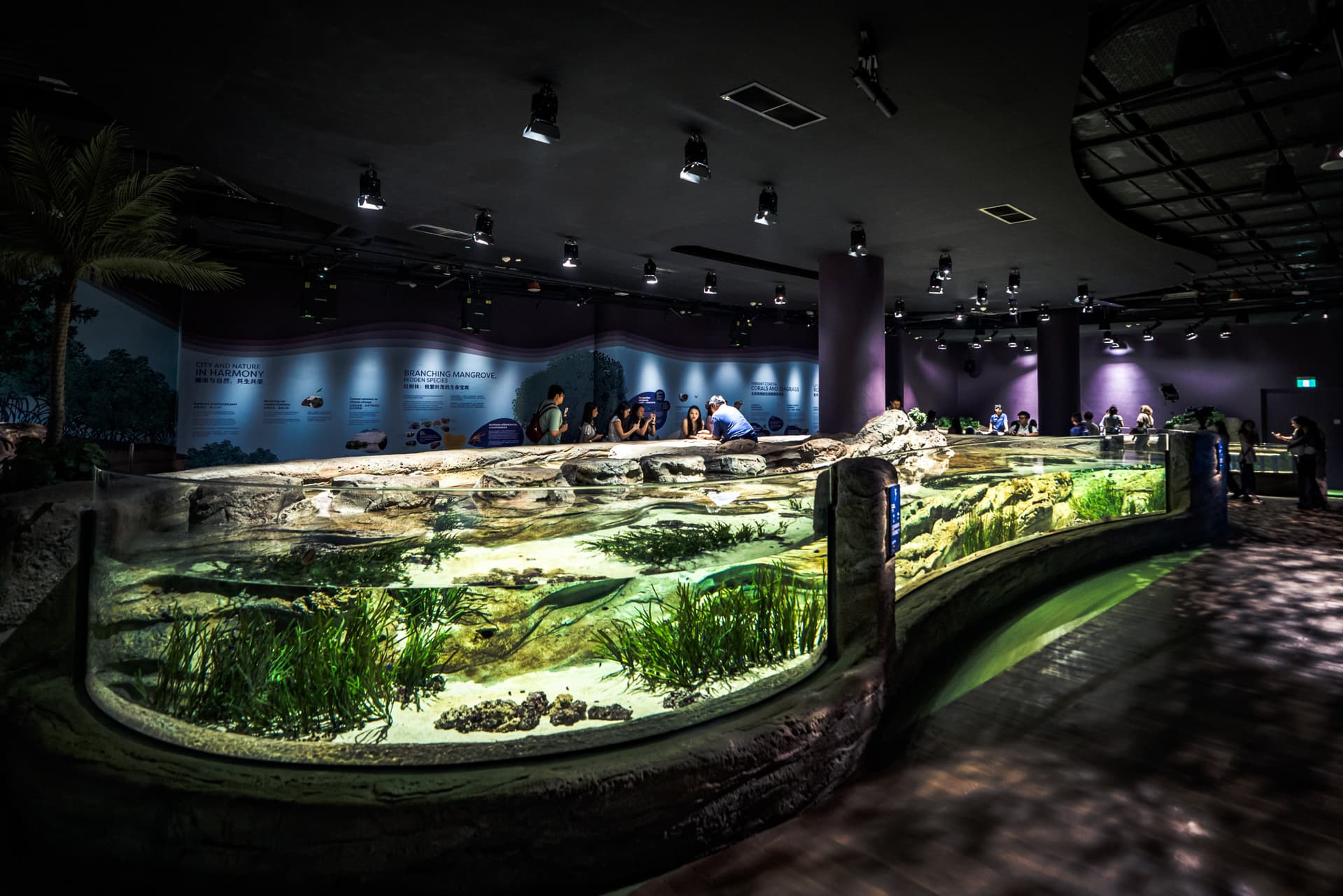 COMBO: Singapore Oceanarium + Gardens by the Bay Ticket - تصویر 3