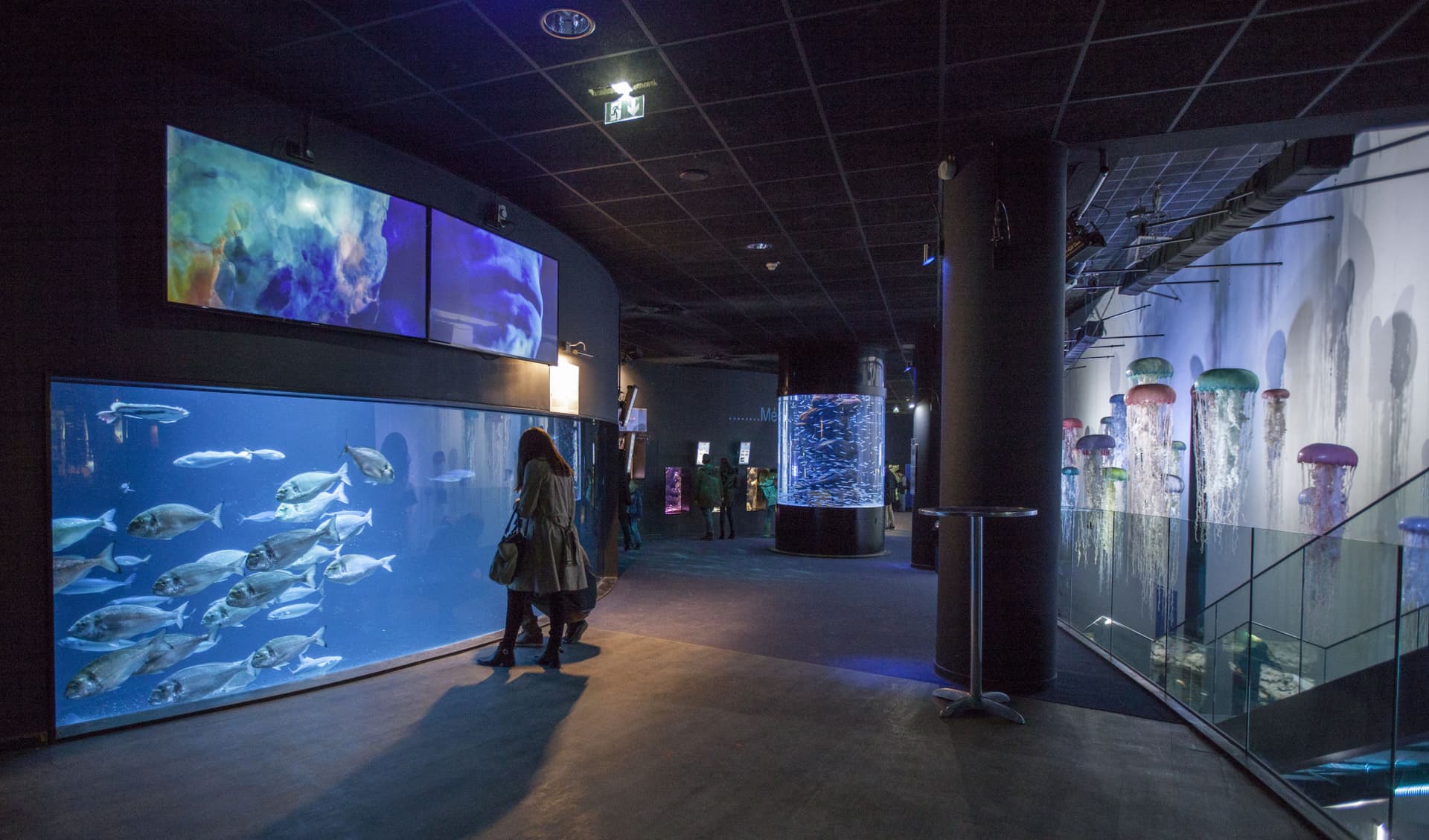 Aquarium de Paris - تصویر 3