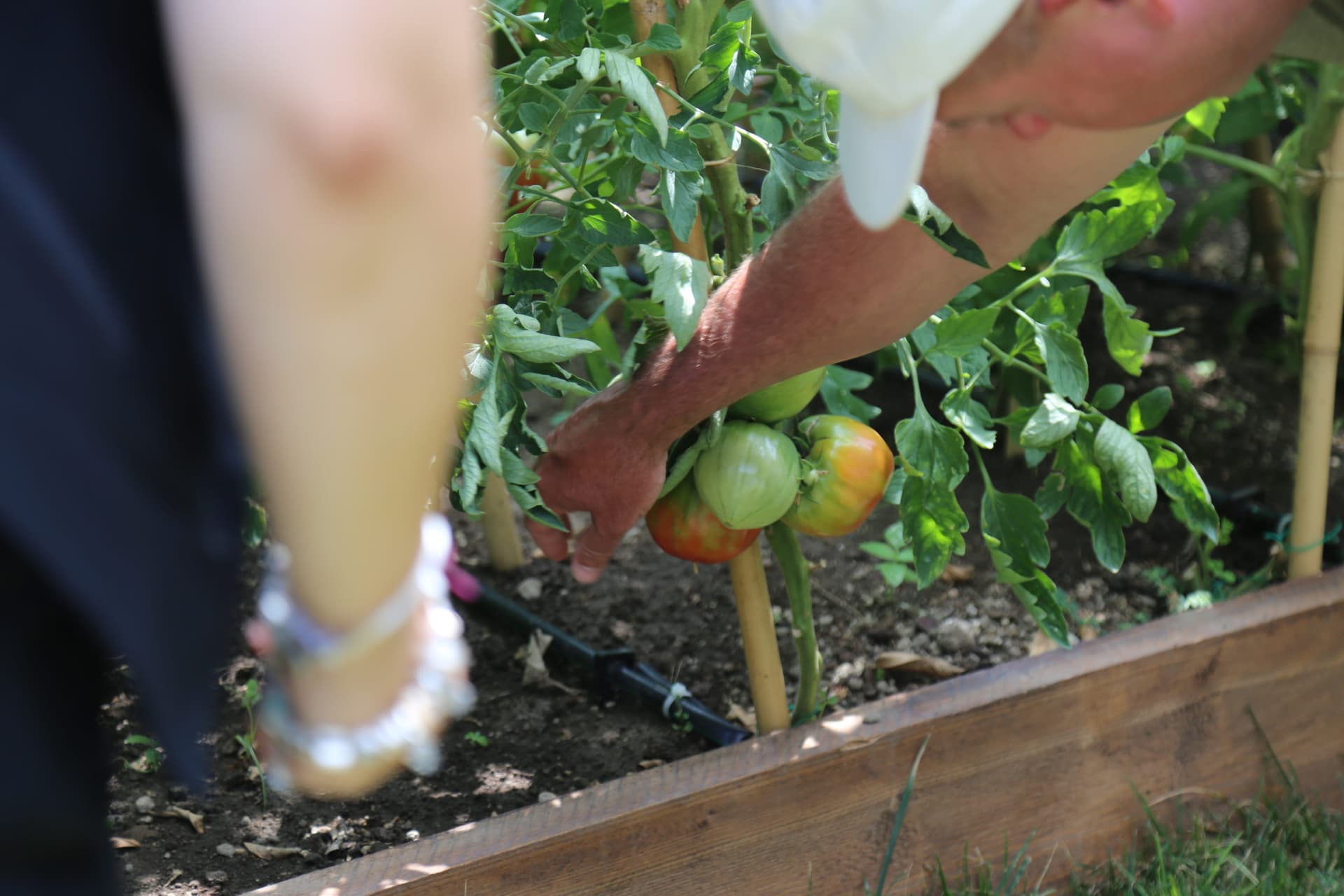 Sorrento Cooking Class & Food Experience - تصویر 8