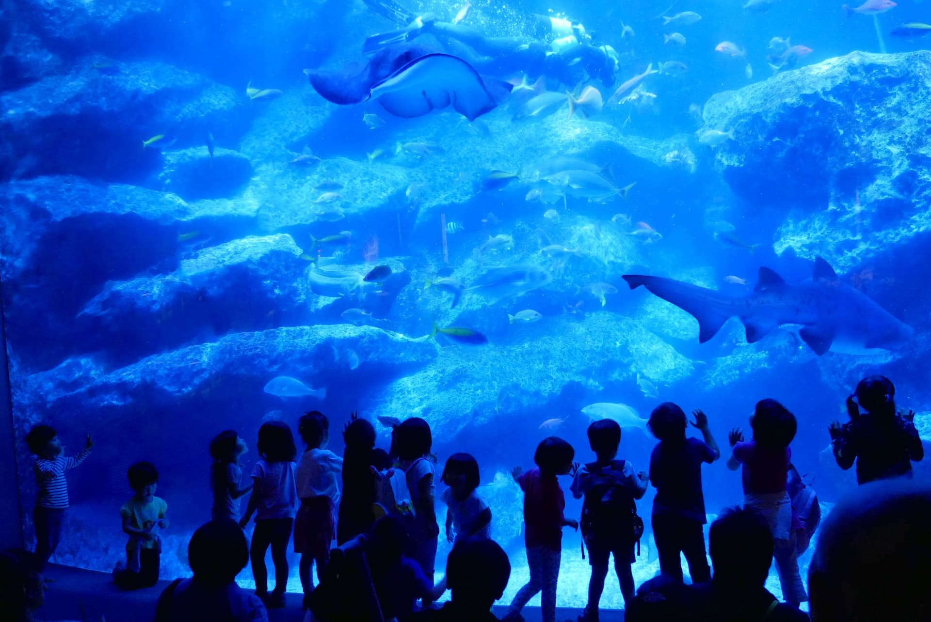 Sumida Aquarium Ticket - تصویر 8