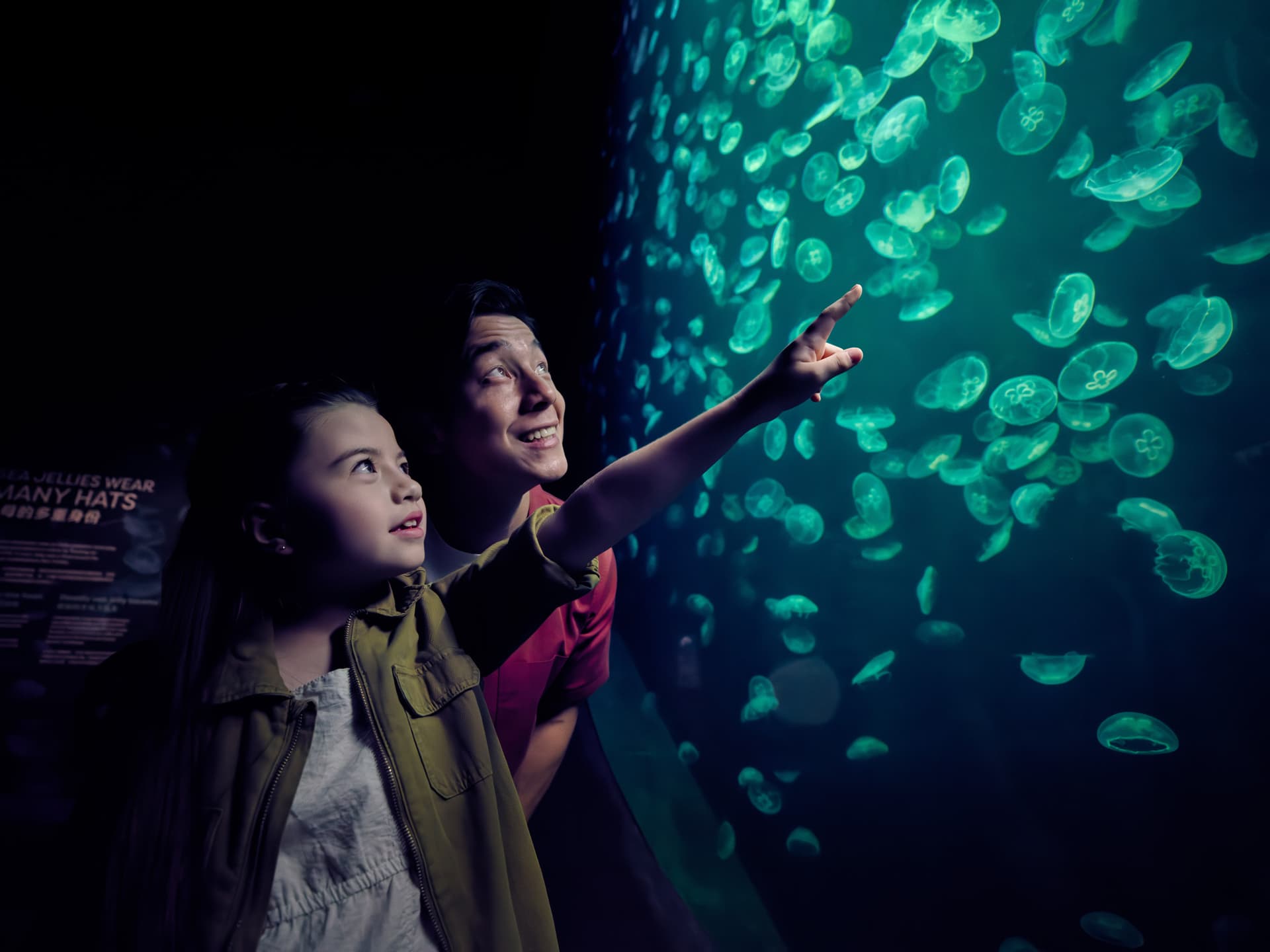 Singapore Oceanarium Ticket - تصویر 9